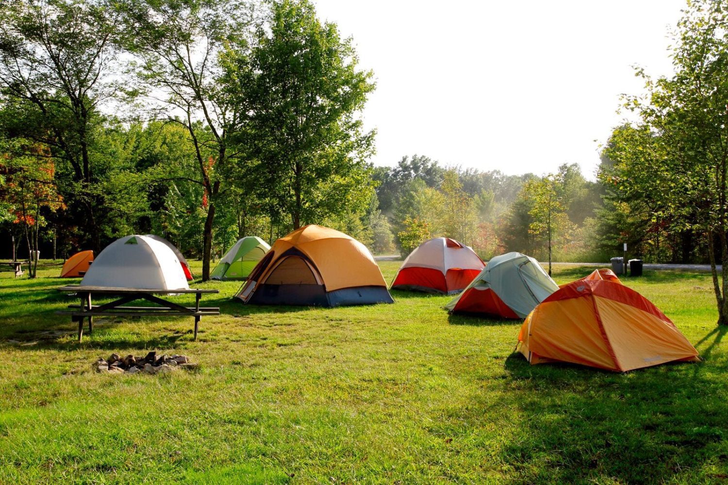 ACE Adventure Resort