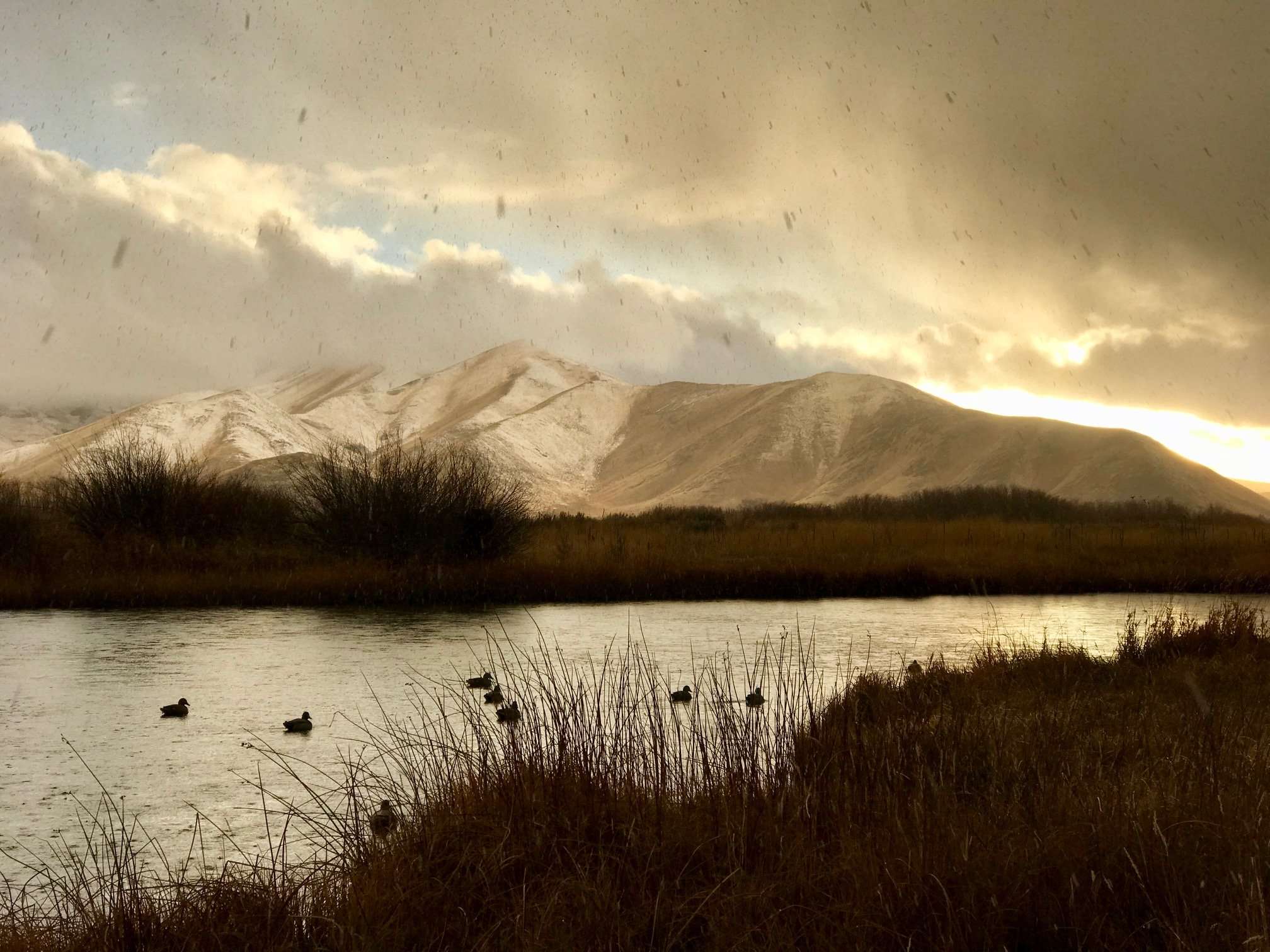 Picabo Angler Silver Creek RV Park