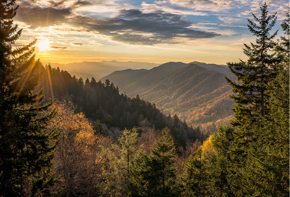 Dragon Mountain Rv and Cabin Resort