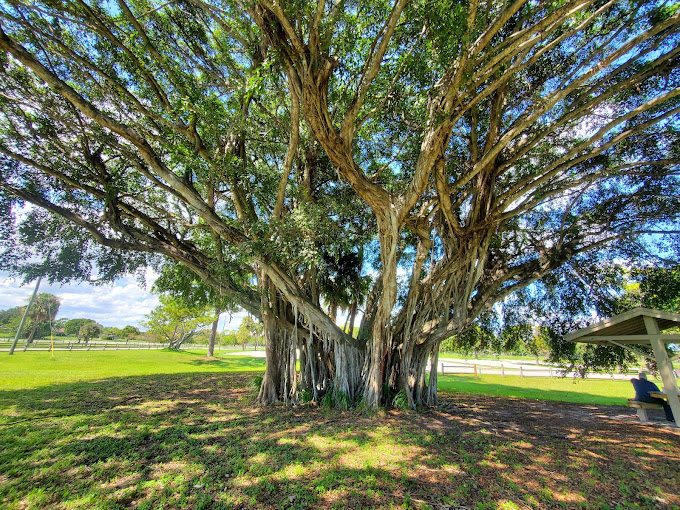 John Prince Park Campground