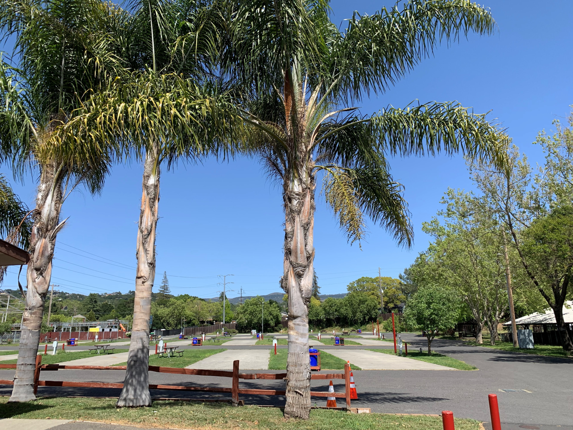 Napa Valley Expo RV Park