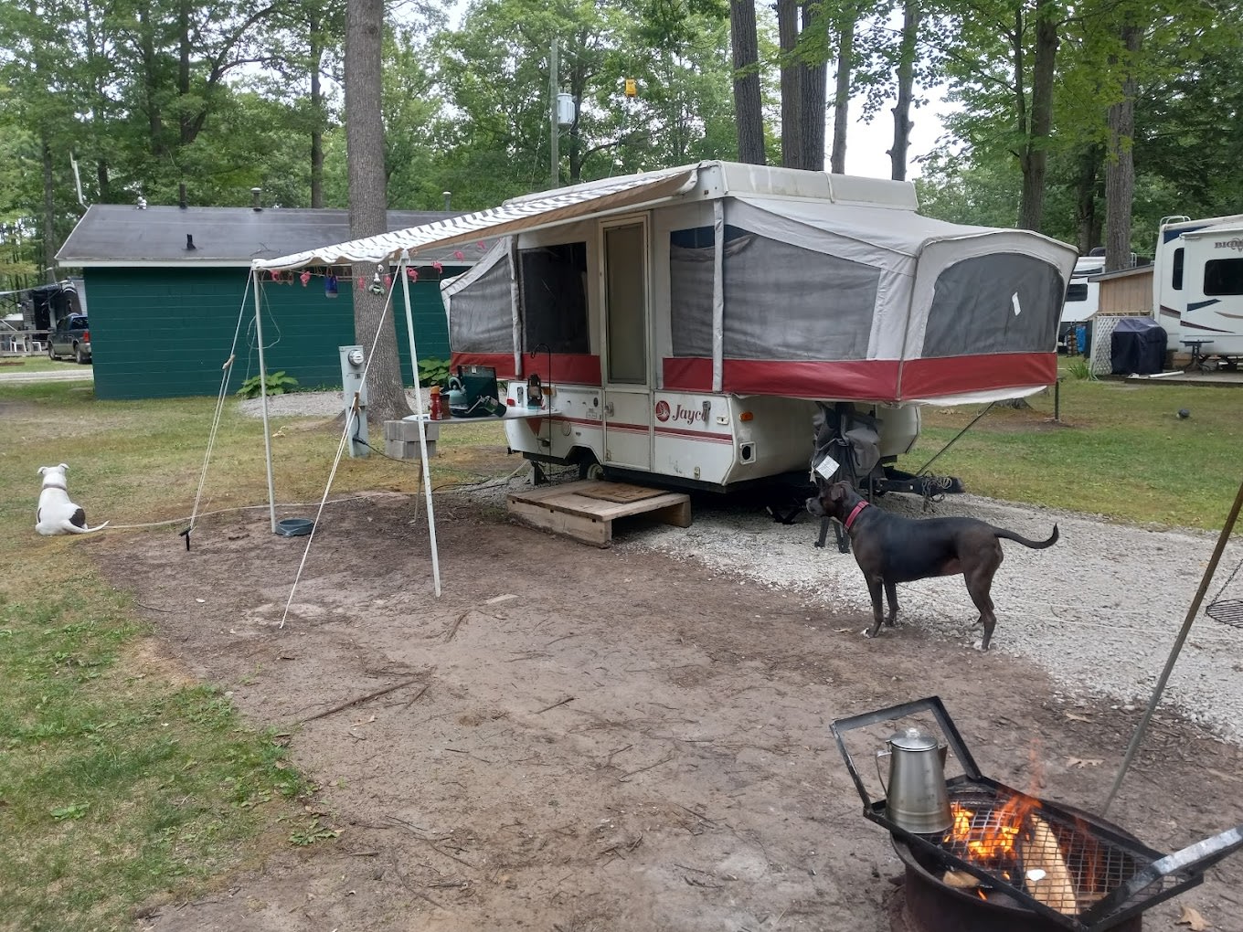 Shady Oaks Campground and RV Park