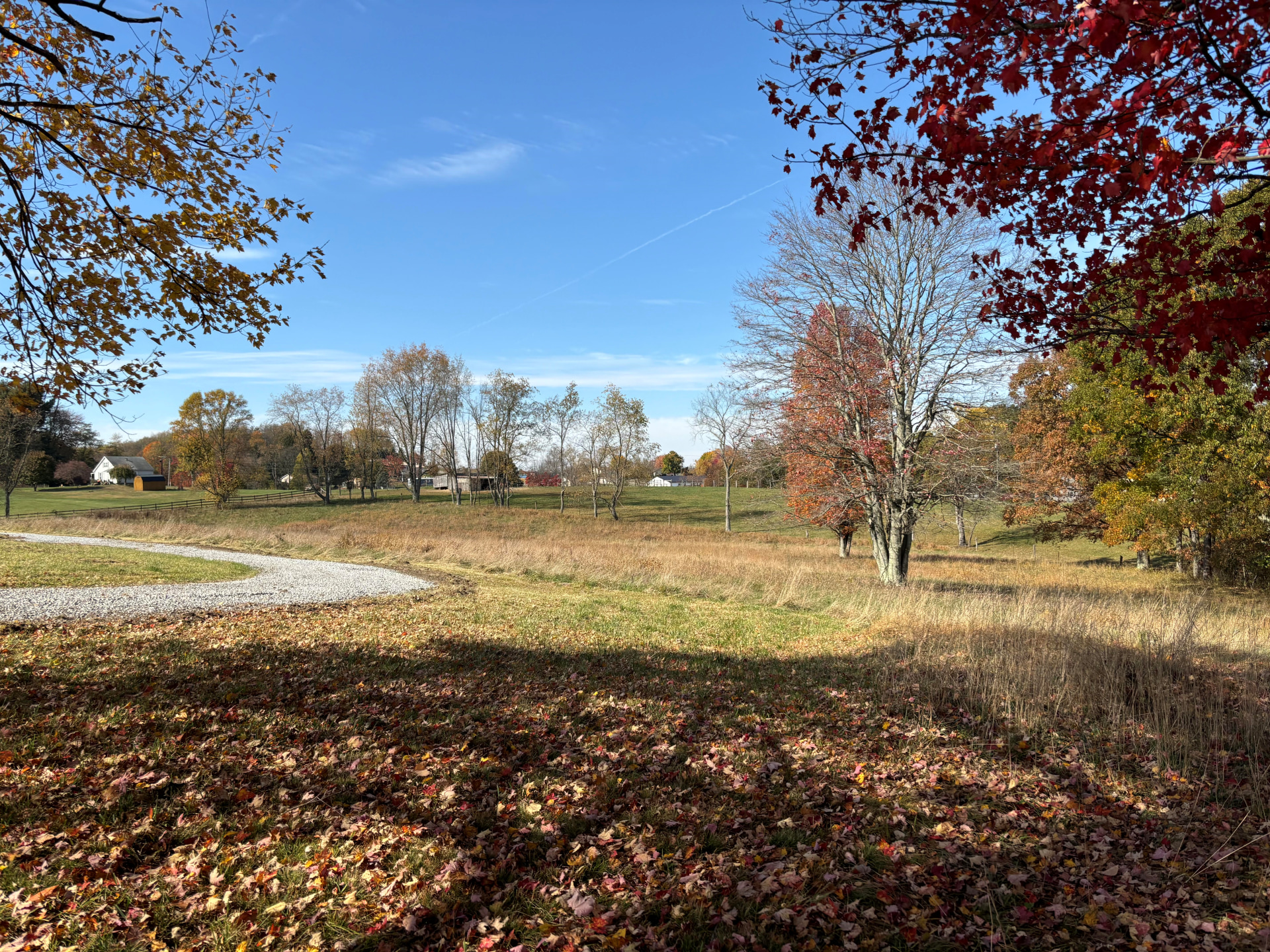 Starry Fields RV Park