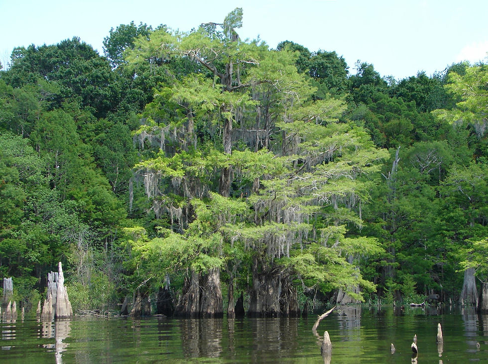 Wewa RV Park and Trading Post