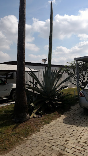 Acacia RV and MH Park