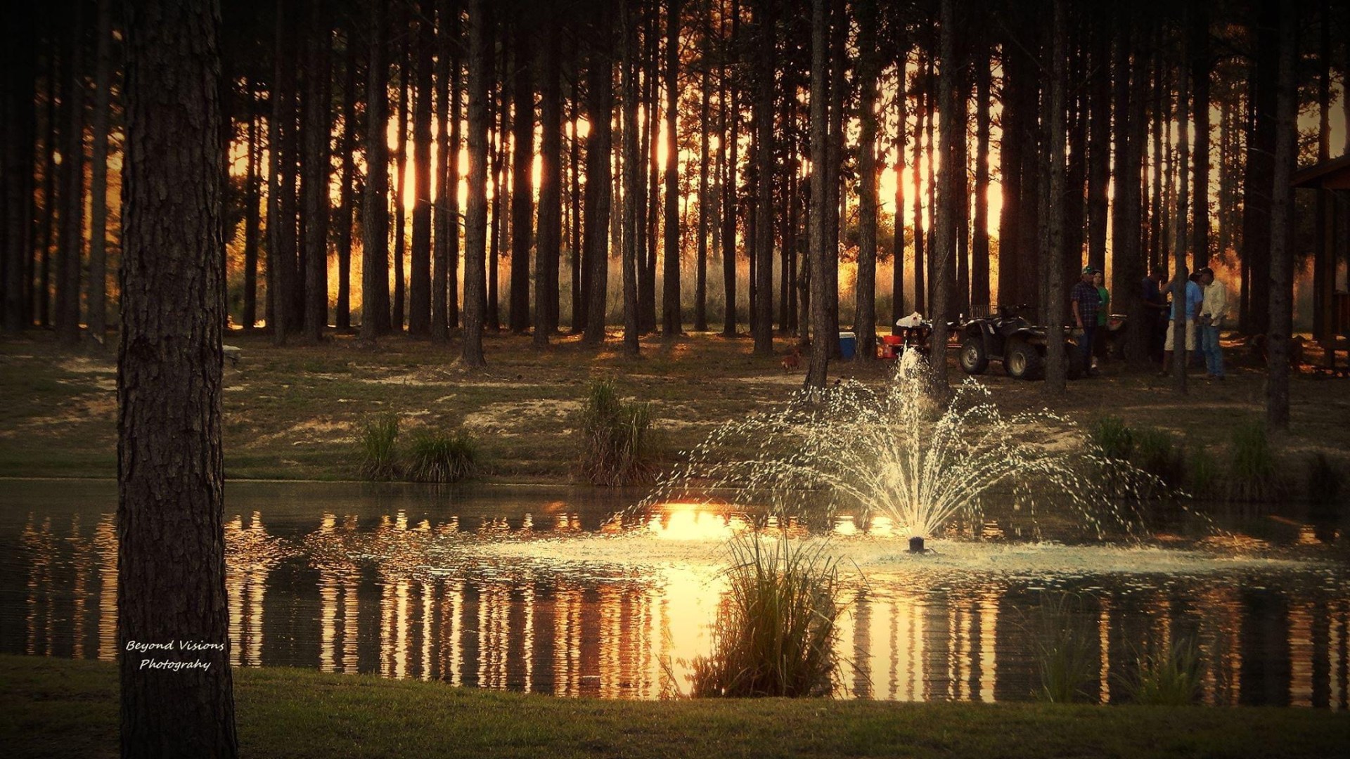 Bogue Chitto Swamp Cabins