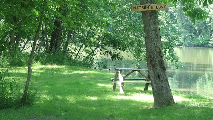 Matson's Big Manistee River