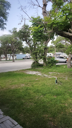 Sandollar Resort and RV Park