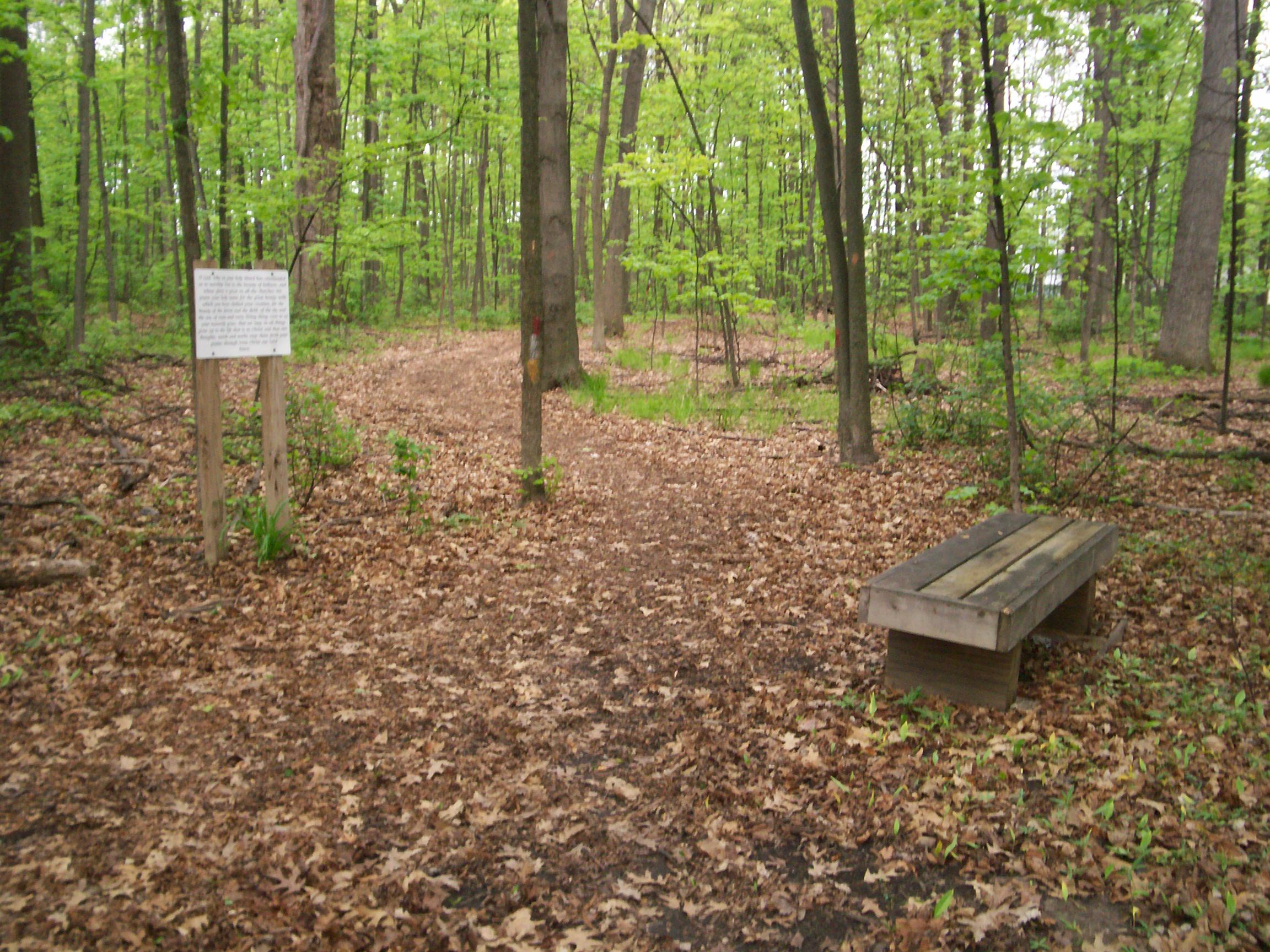 St. Lorenz Churchgrove and Campground