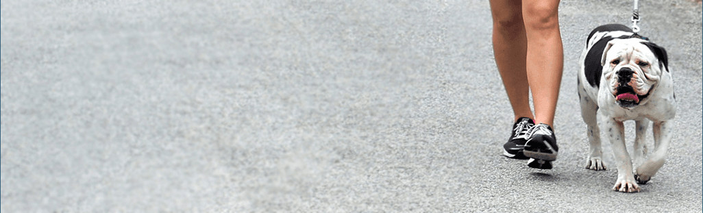 Victoria City RV Park