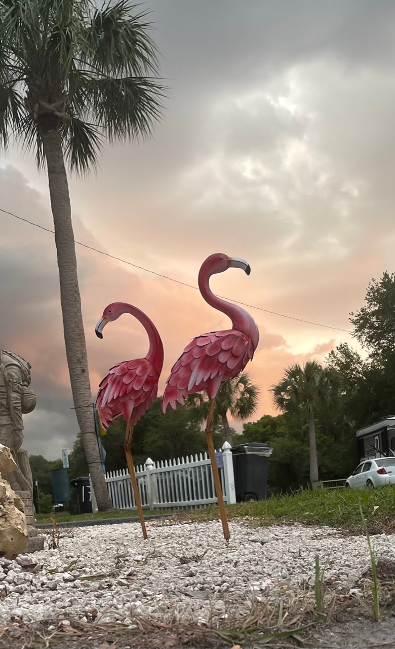 Little Flamingo RV Park