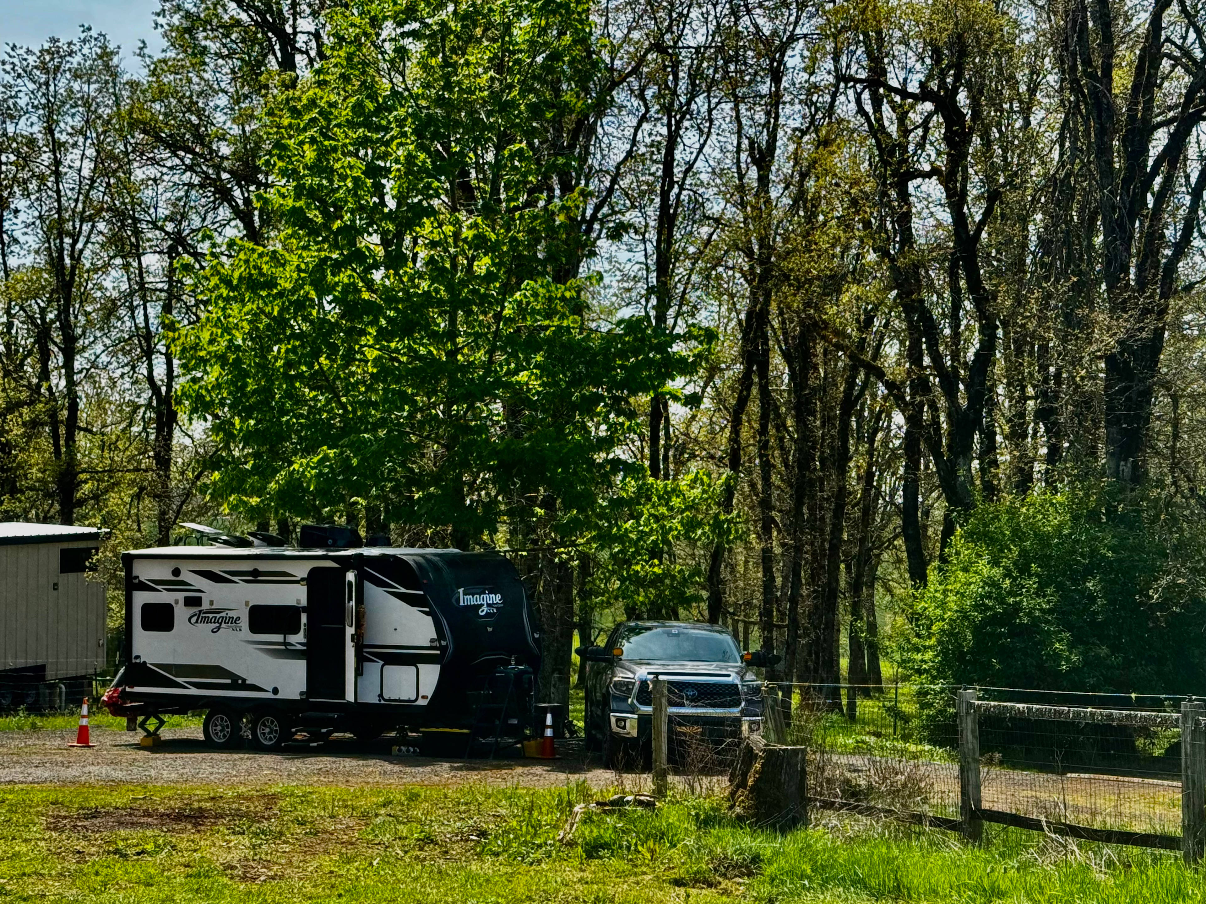 Buena Vista Lavender Farm