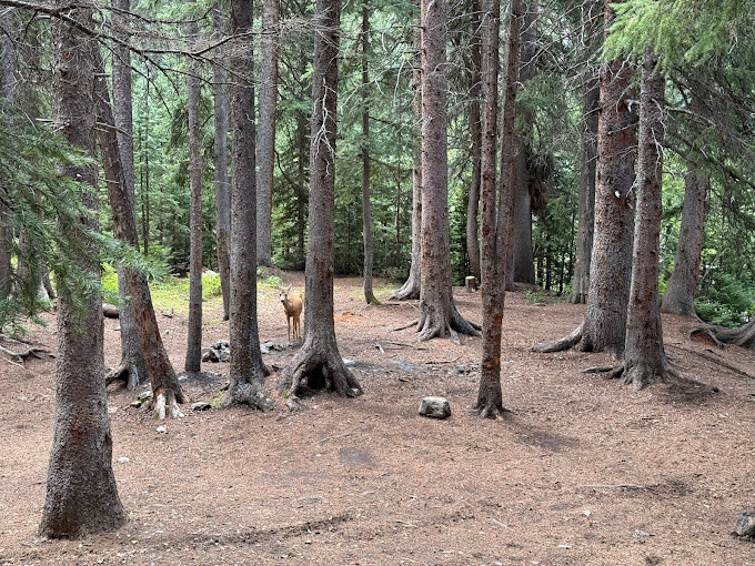 Castle Lakes Campground