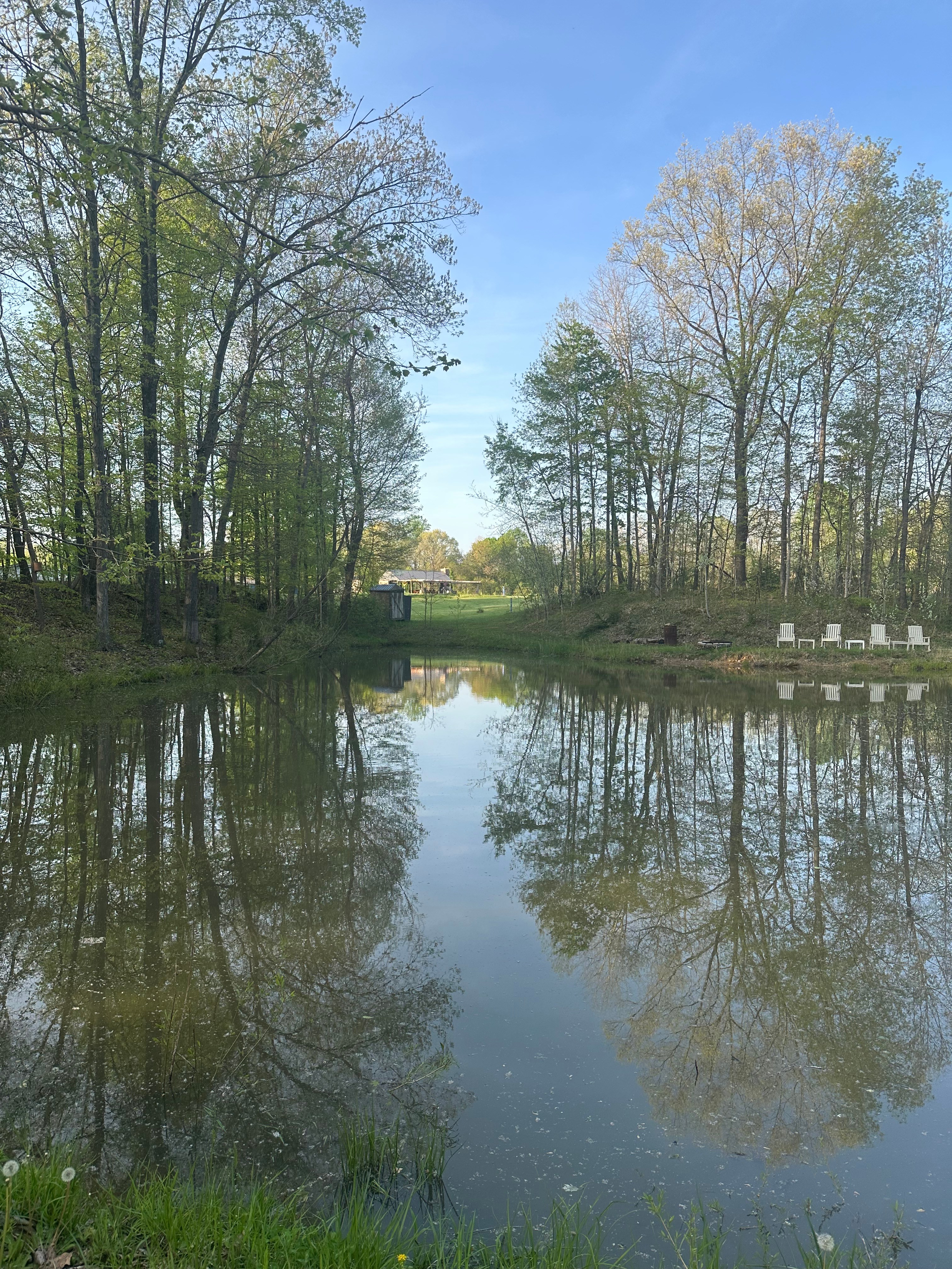 Backroads Vineyard LLC