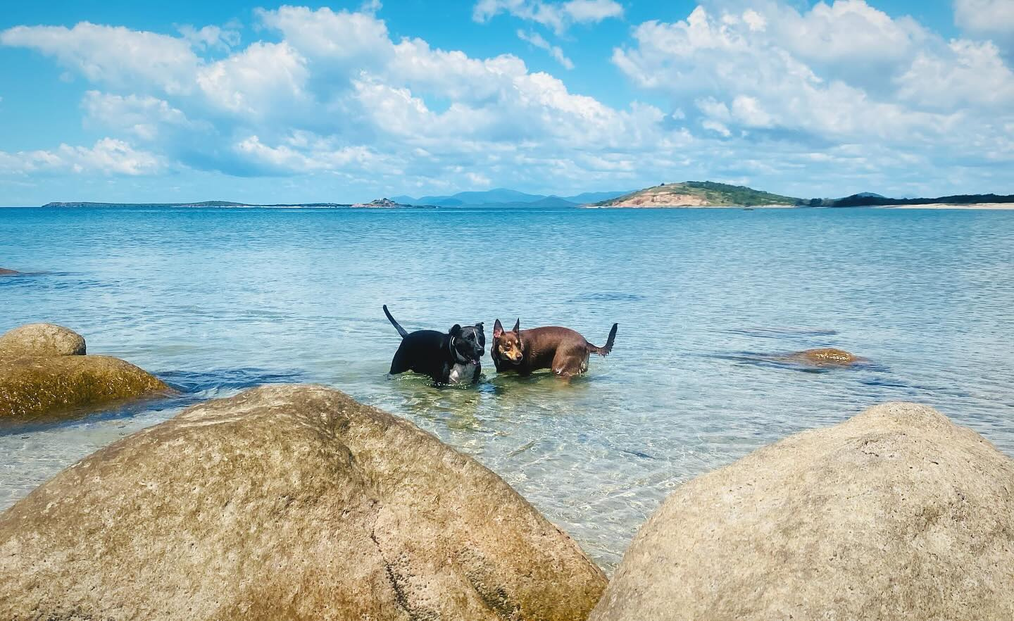 Rose Bay Beach Caravan Bowen