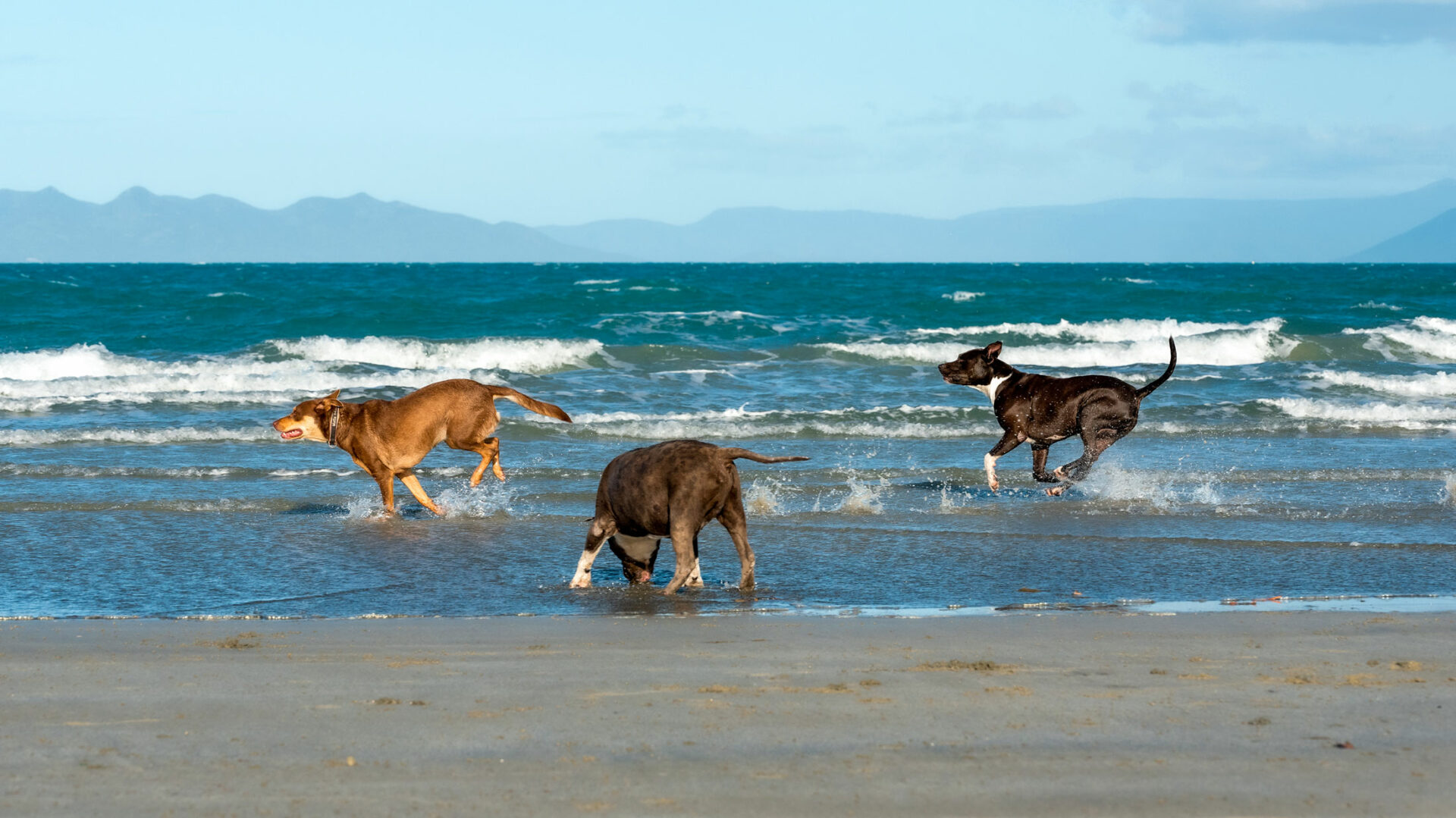 Rose Bay Beach Caravan Bowen