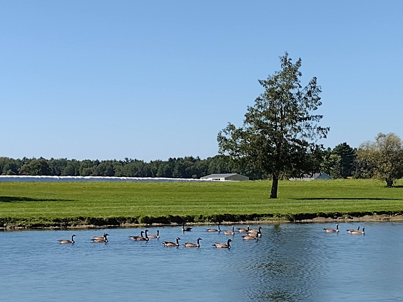 Farm View Resort