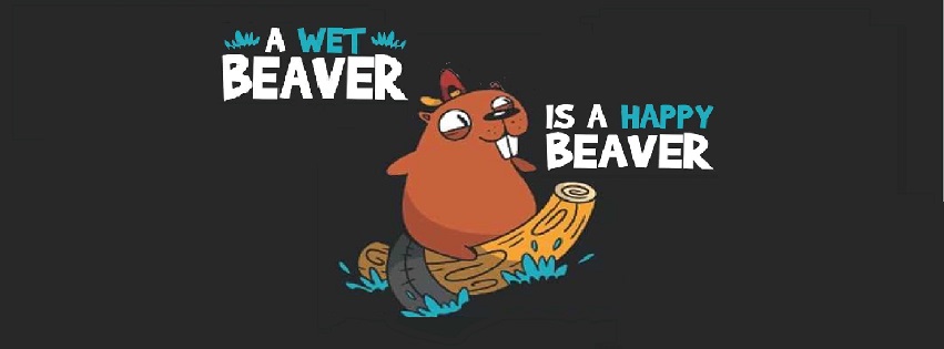 Wet Beaver Campground