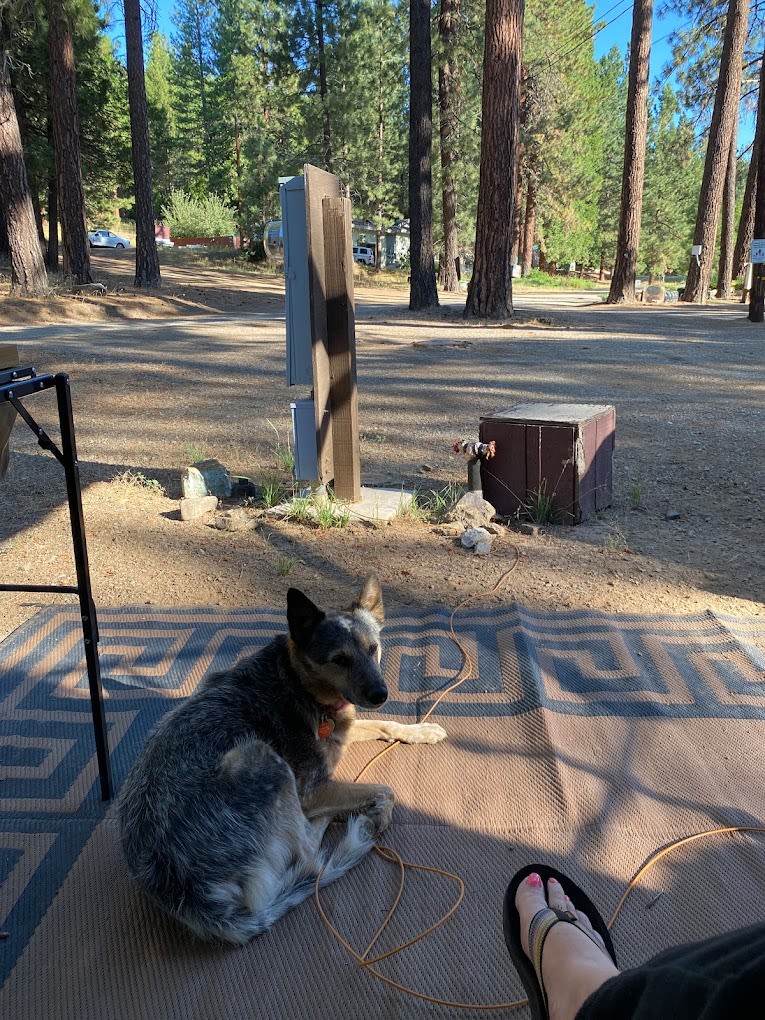 Sleepy Hollow RV Park