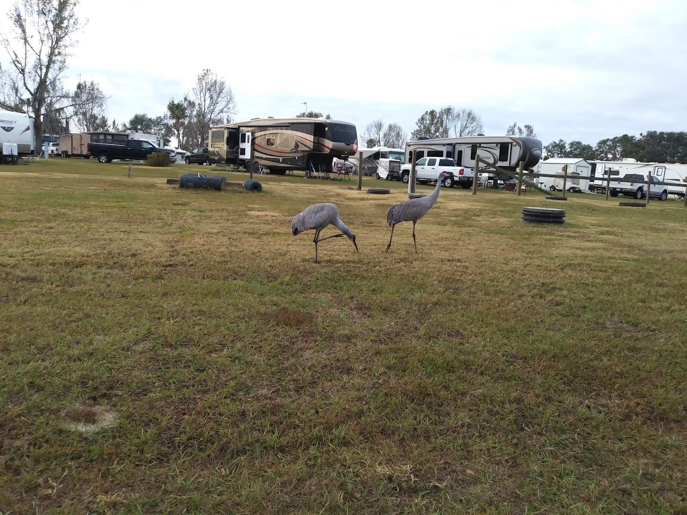 Snowbird South RV Park