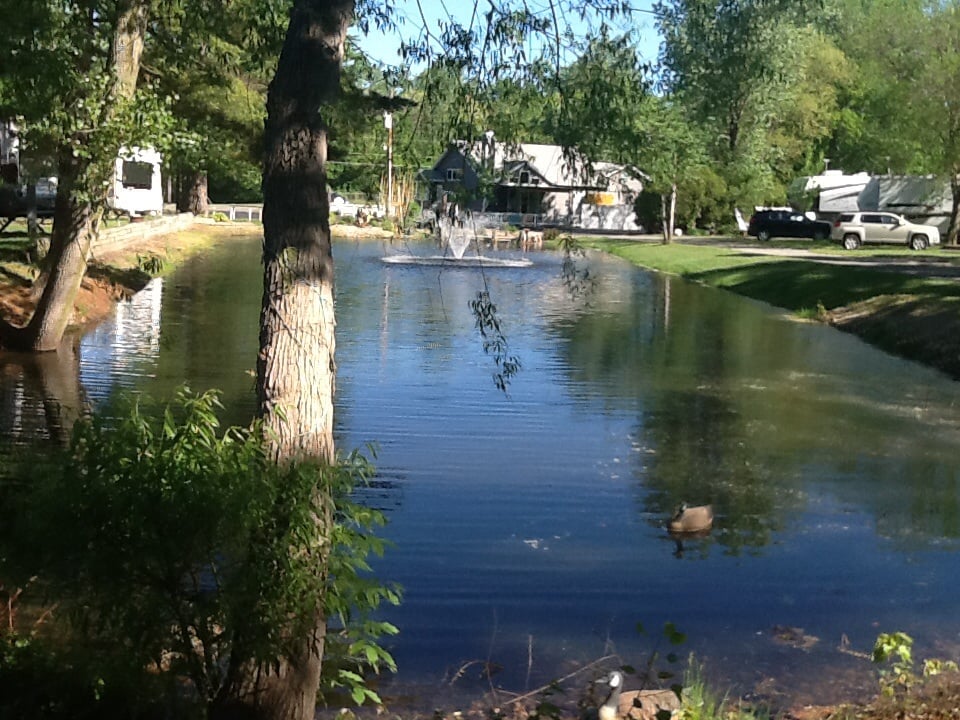 Kamp Across From the Dunes