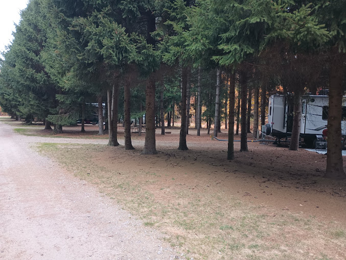 Sanilac County Evergreen Park