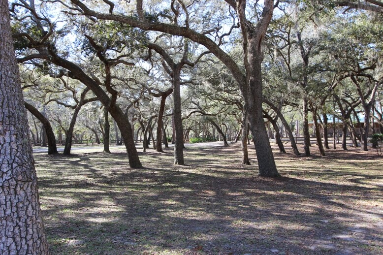 Otter Springs Resort Inc