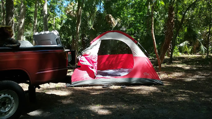 Daytona's Endless Summer Campground