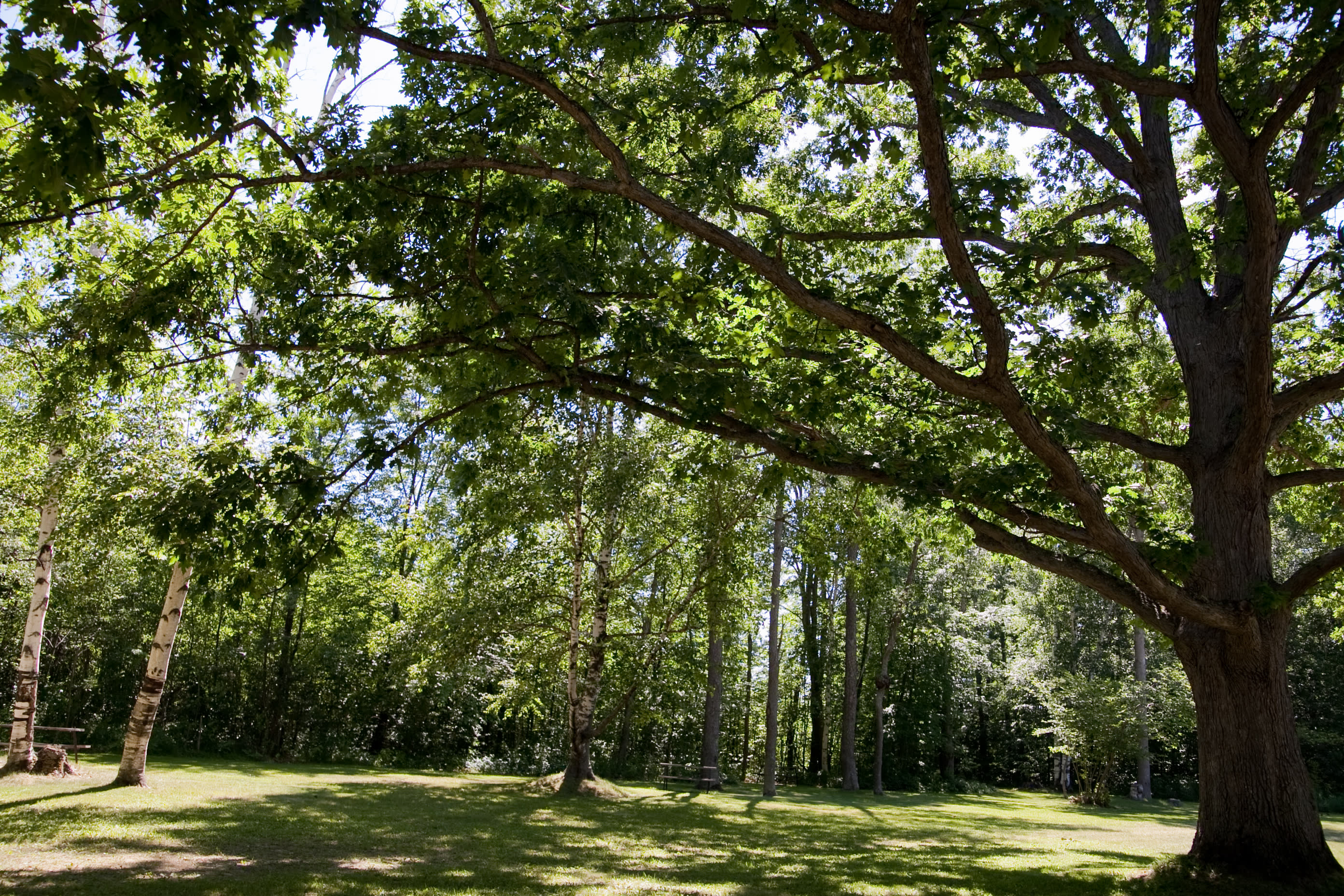 Houghton Lake Travel Park Campground