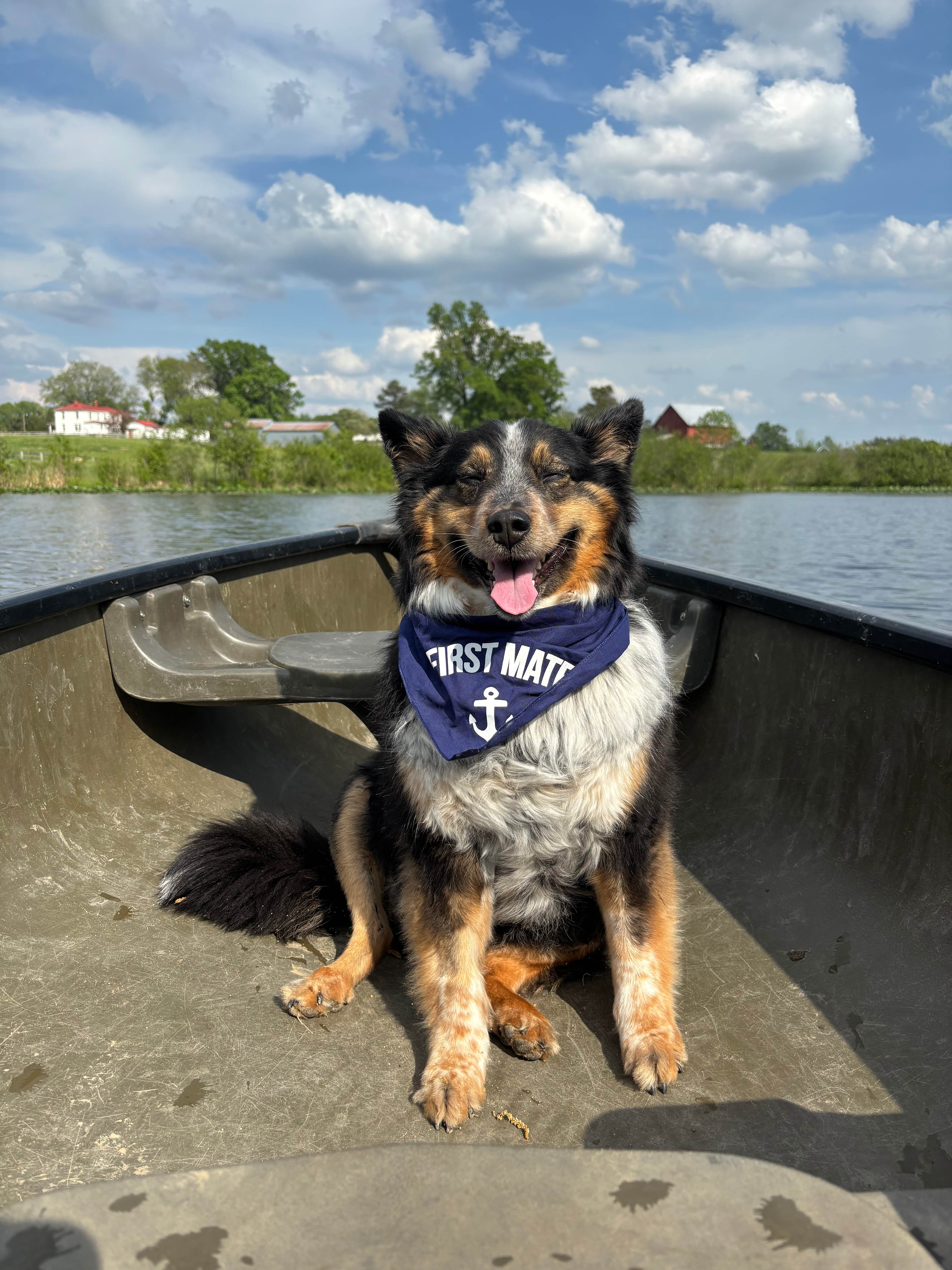 First Mate Shadow on the canoe