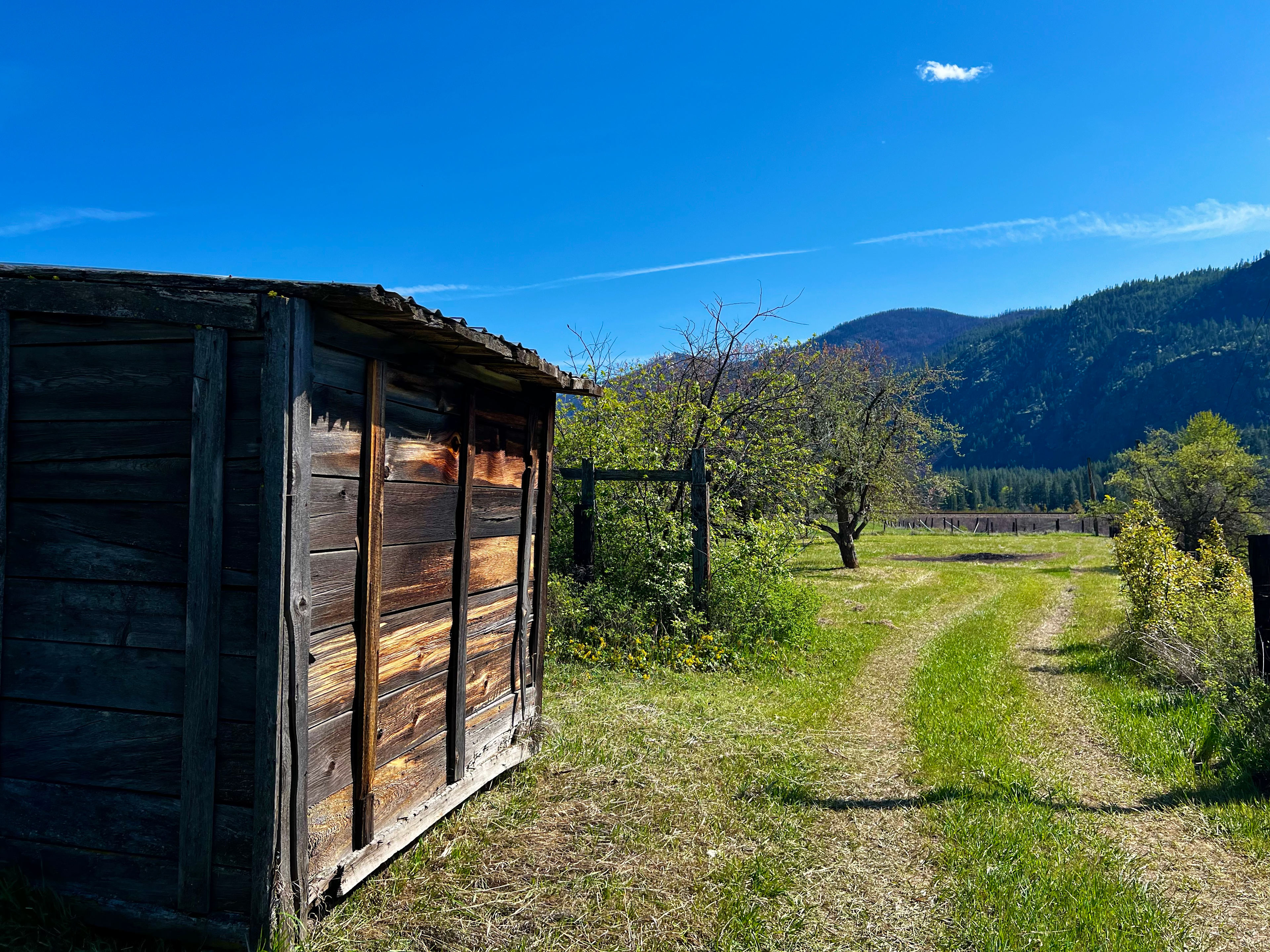 The Orchard On The Ol’ Homestead
