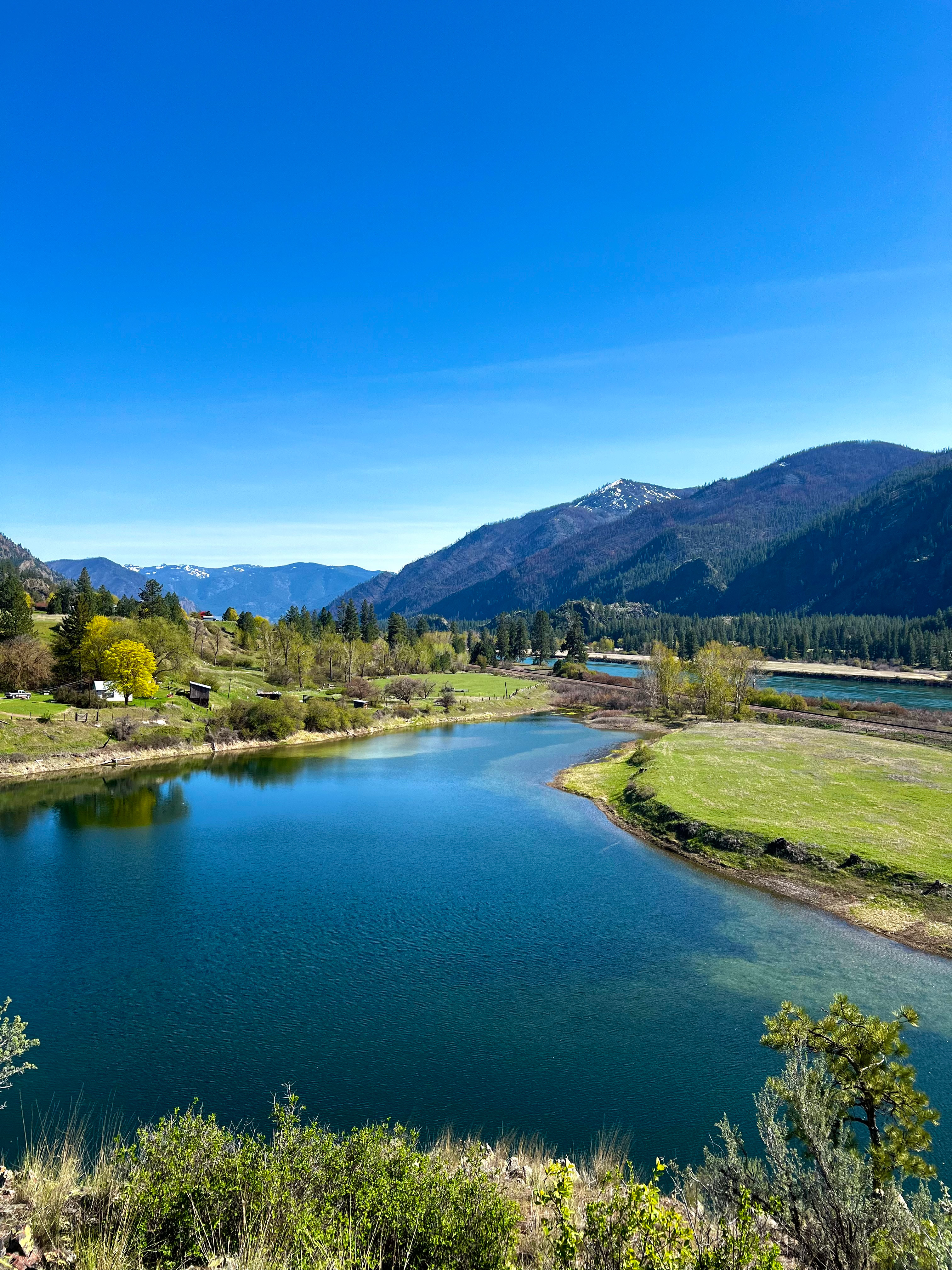 The Orchard On The Ol’ Homestead