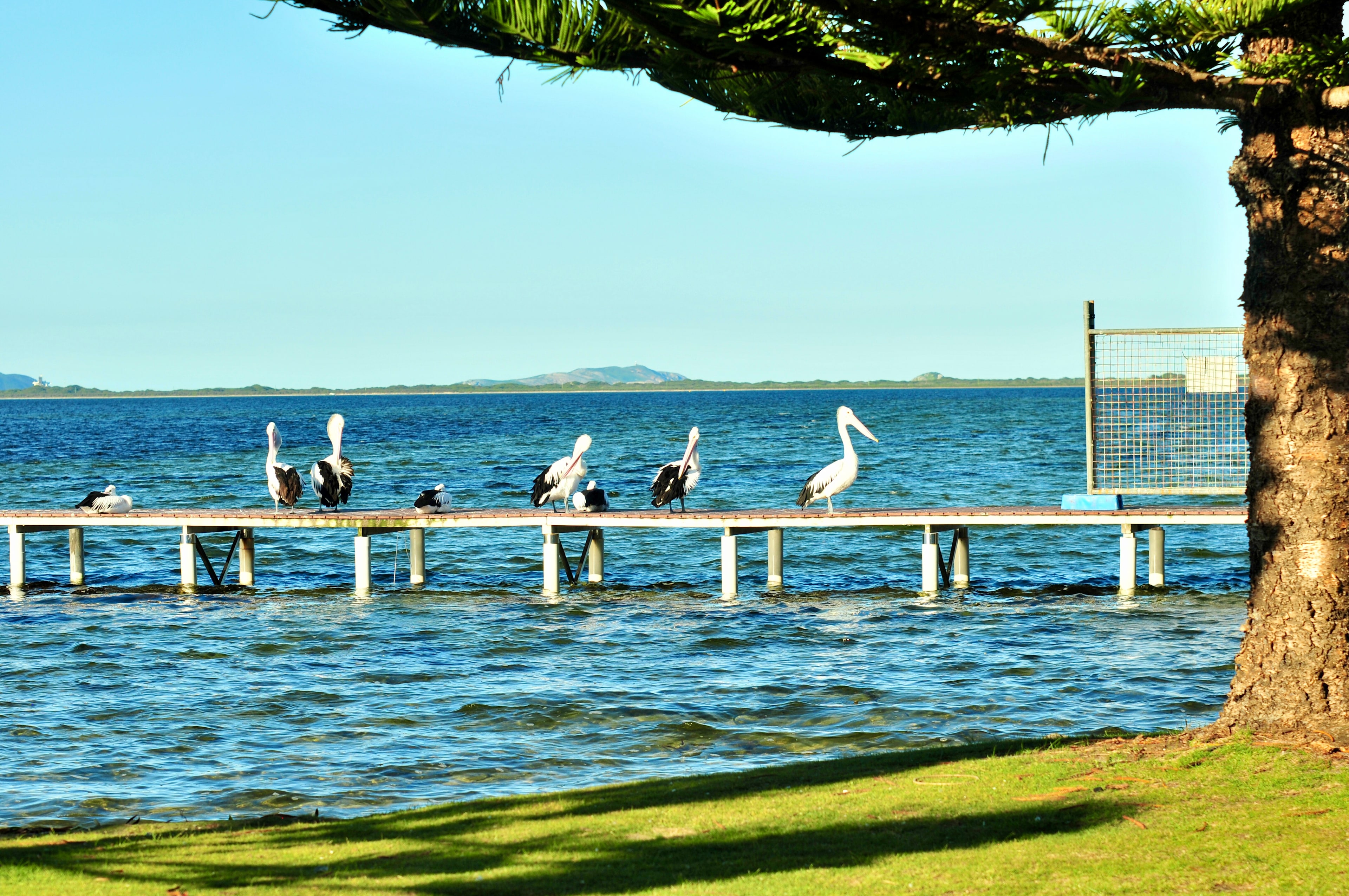 Panorama Caravan Park