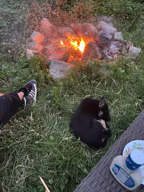 Earth Paradise Eco-Retreat