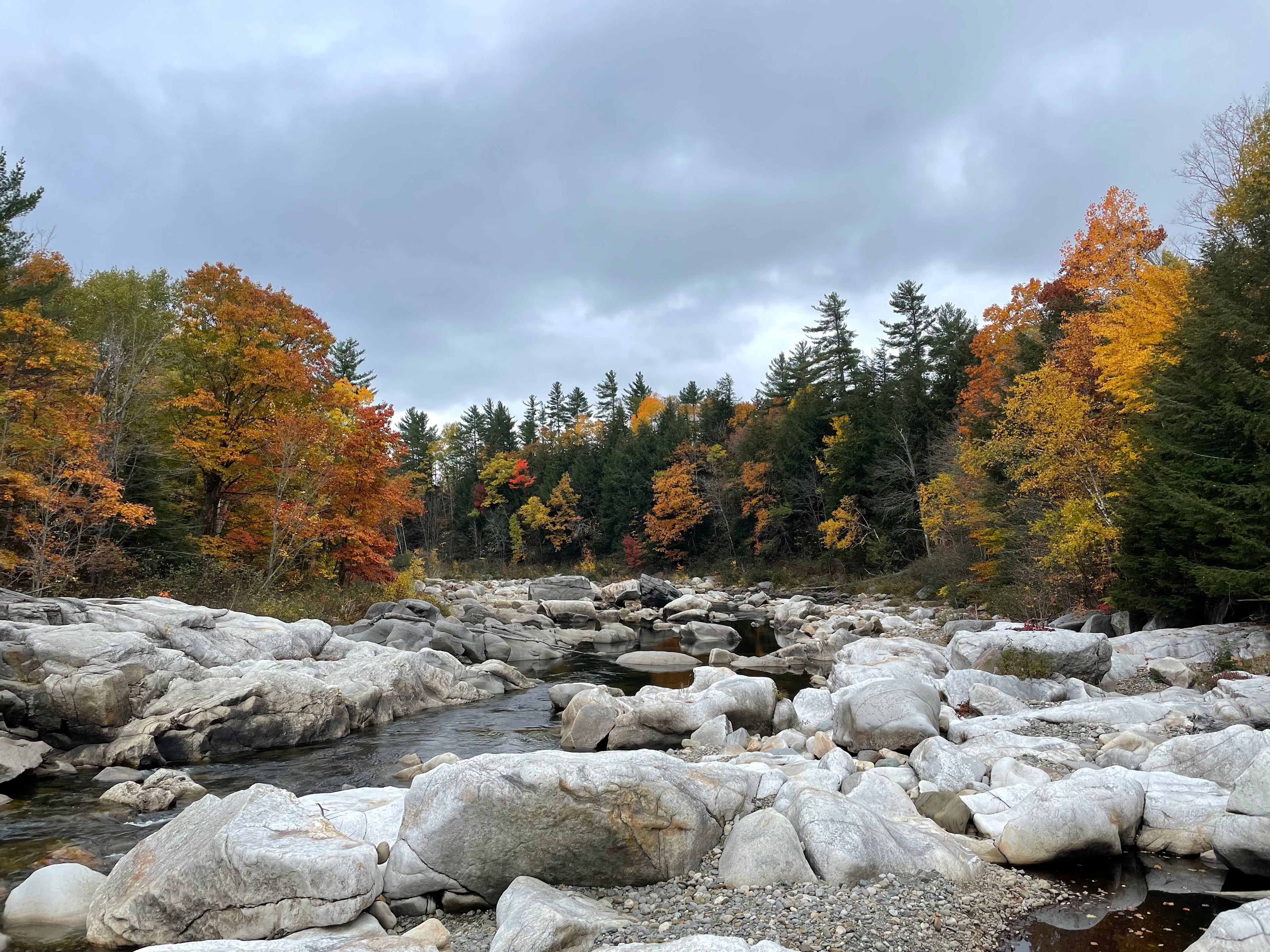 🌲 40 Acres Of Riverfront Serenity