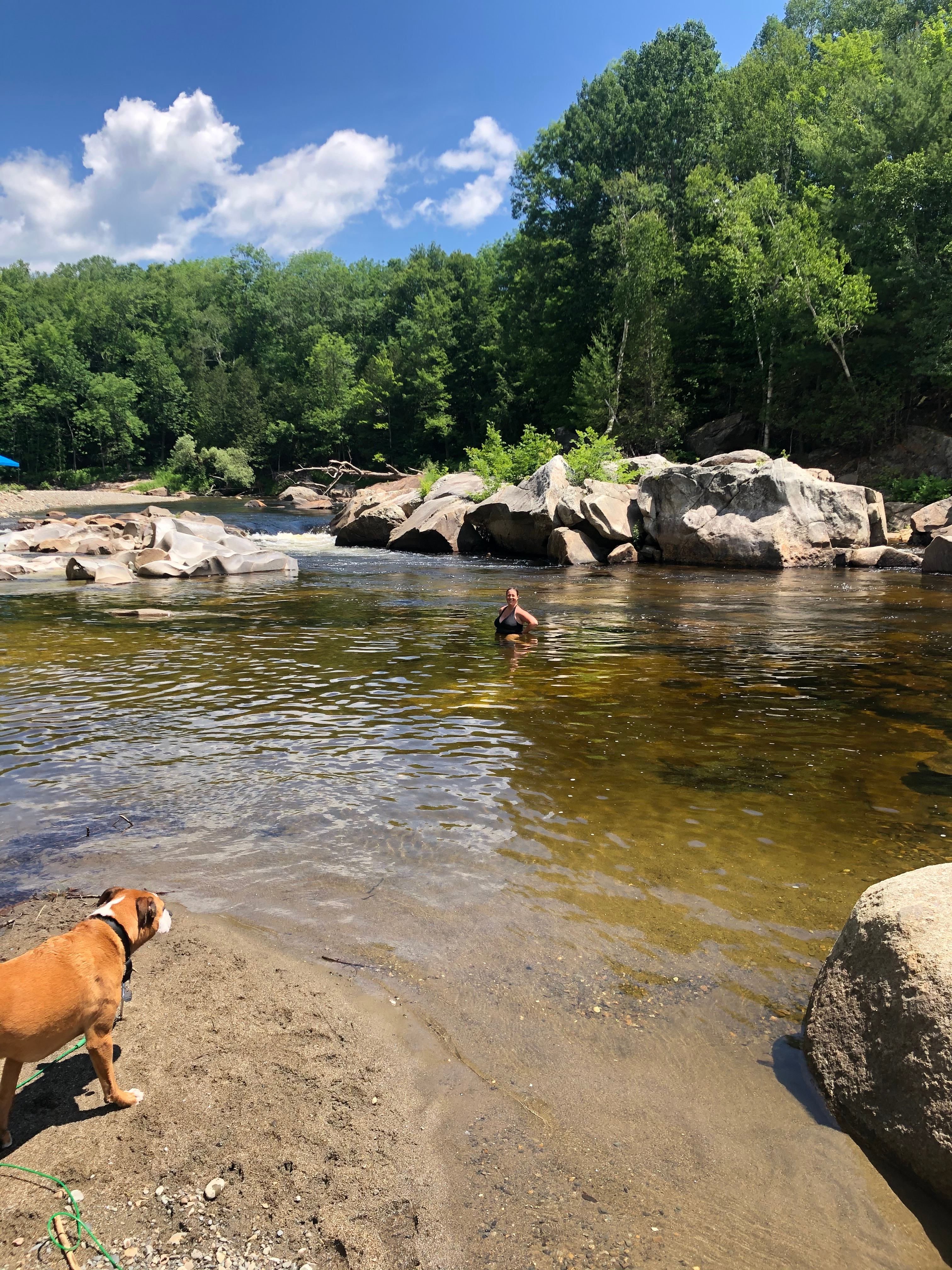 🌲 40 Acres Of Riverfront Serenity