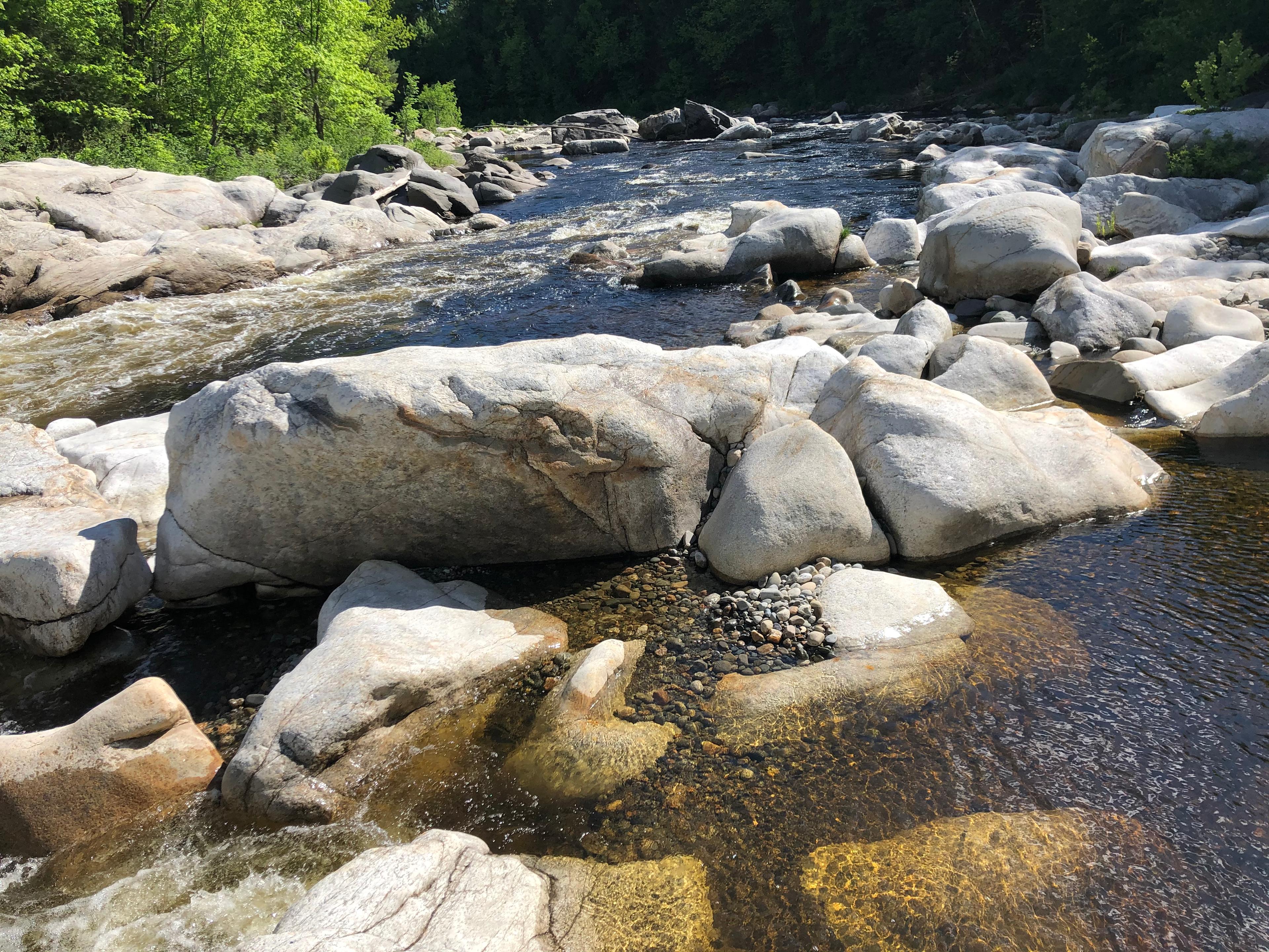🌲 40 Acres Of Riverfront Serenity