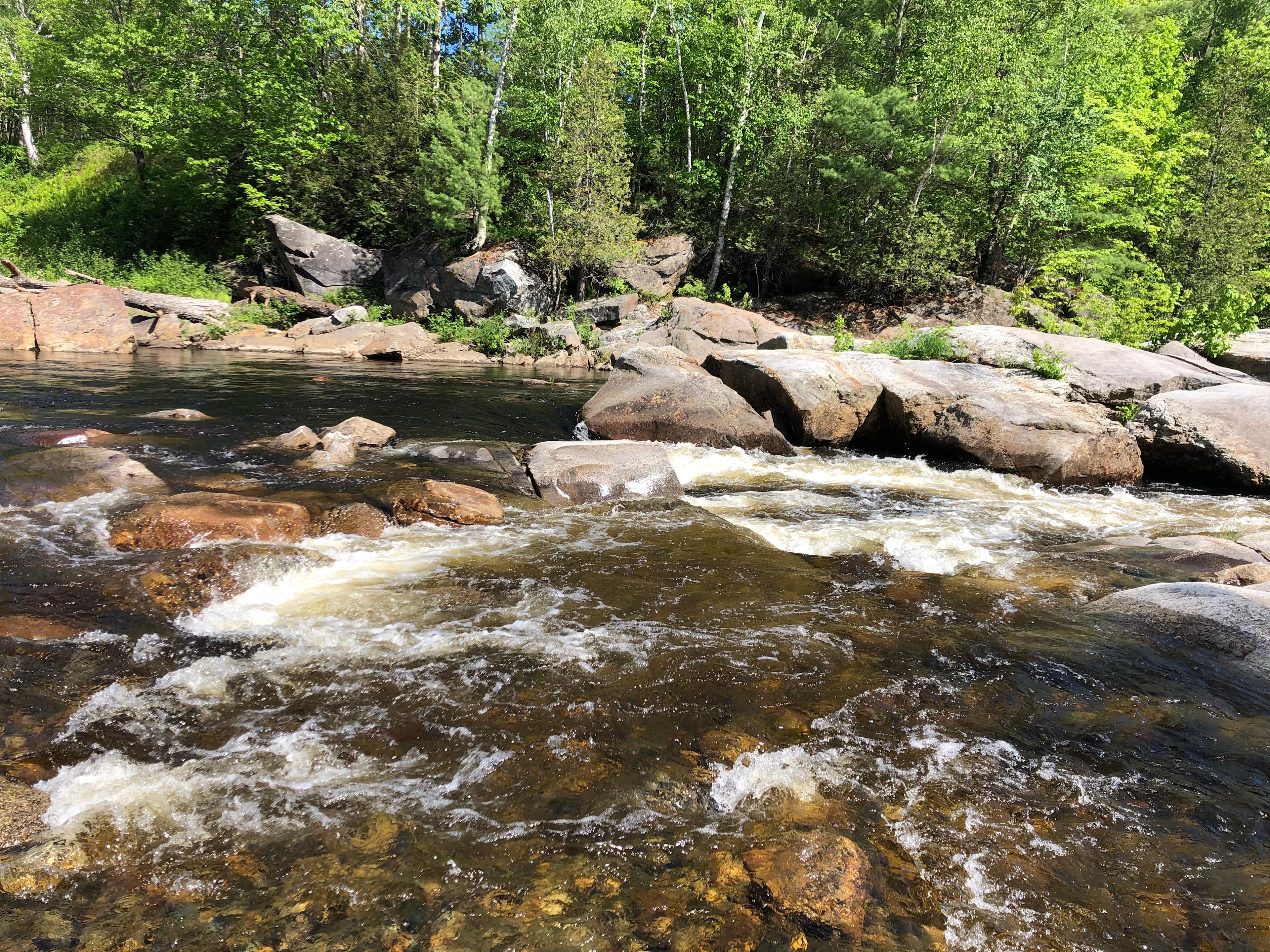 🌲 40 Acres Of Riverfront Serenity