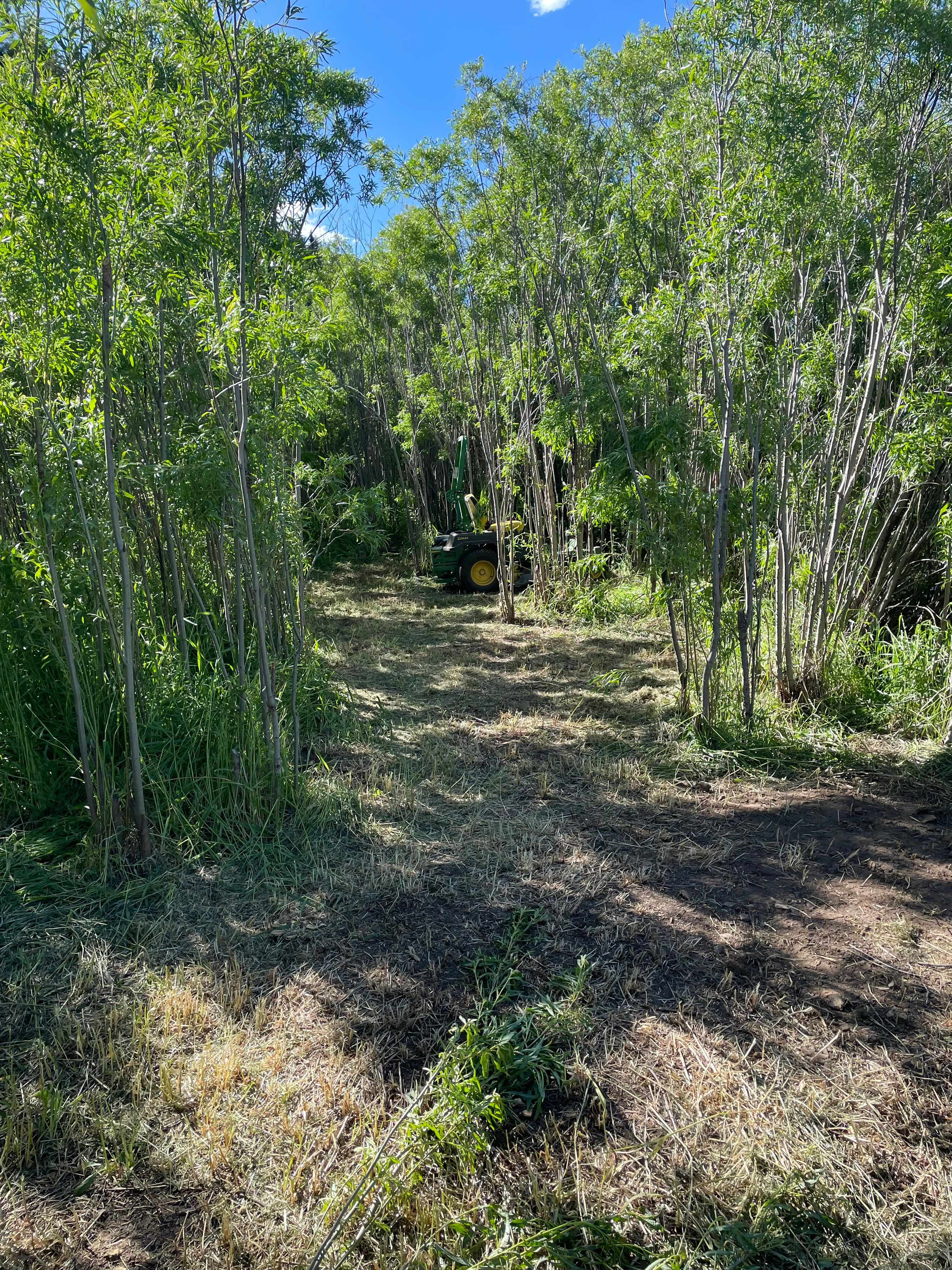 Star Gaze campground