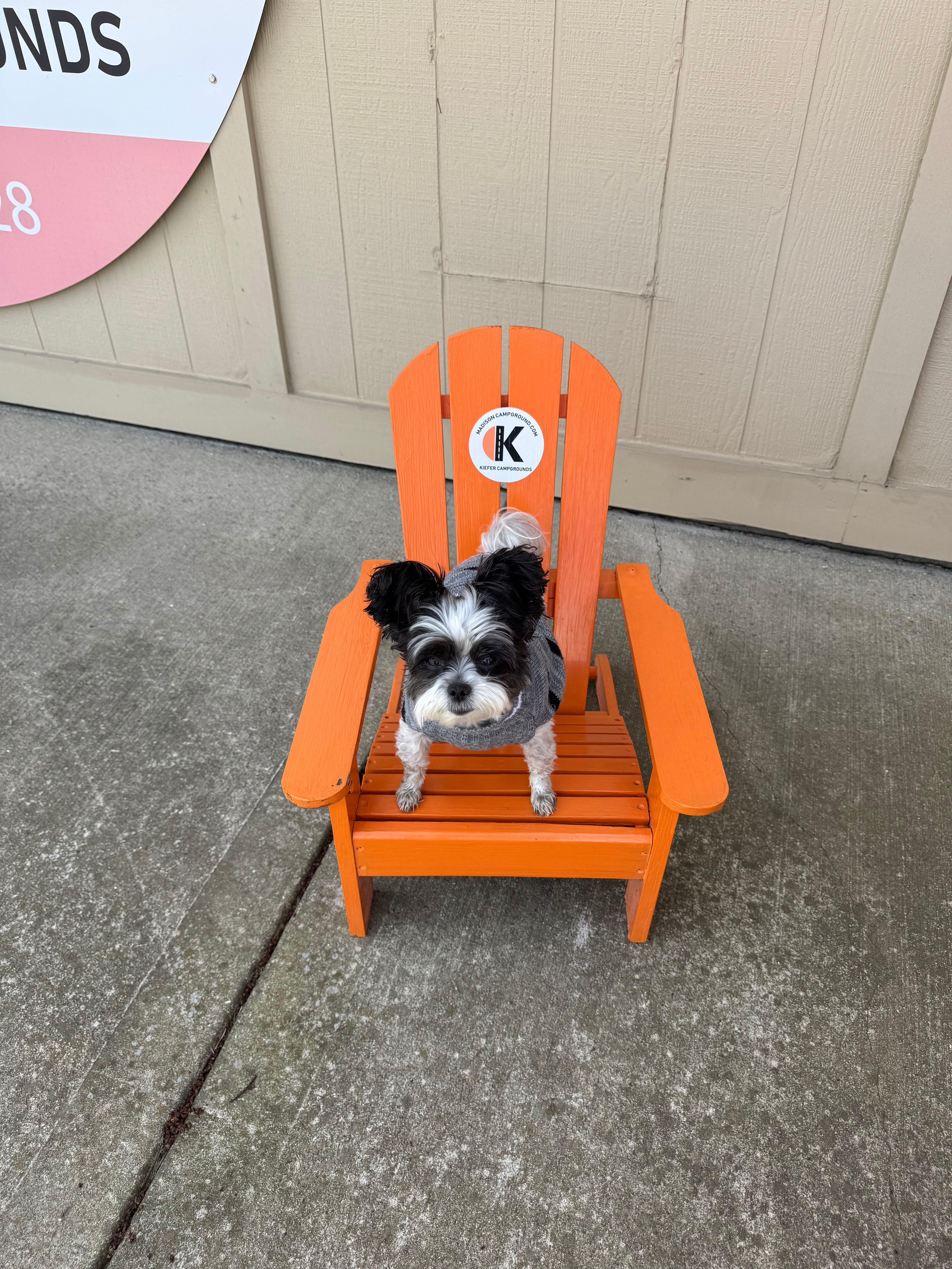 He loved his stay here too!!! 