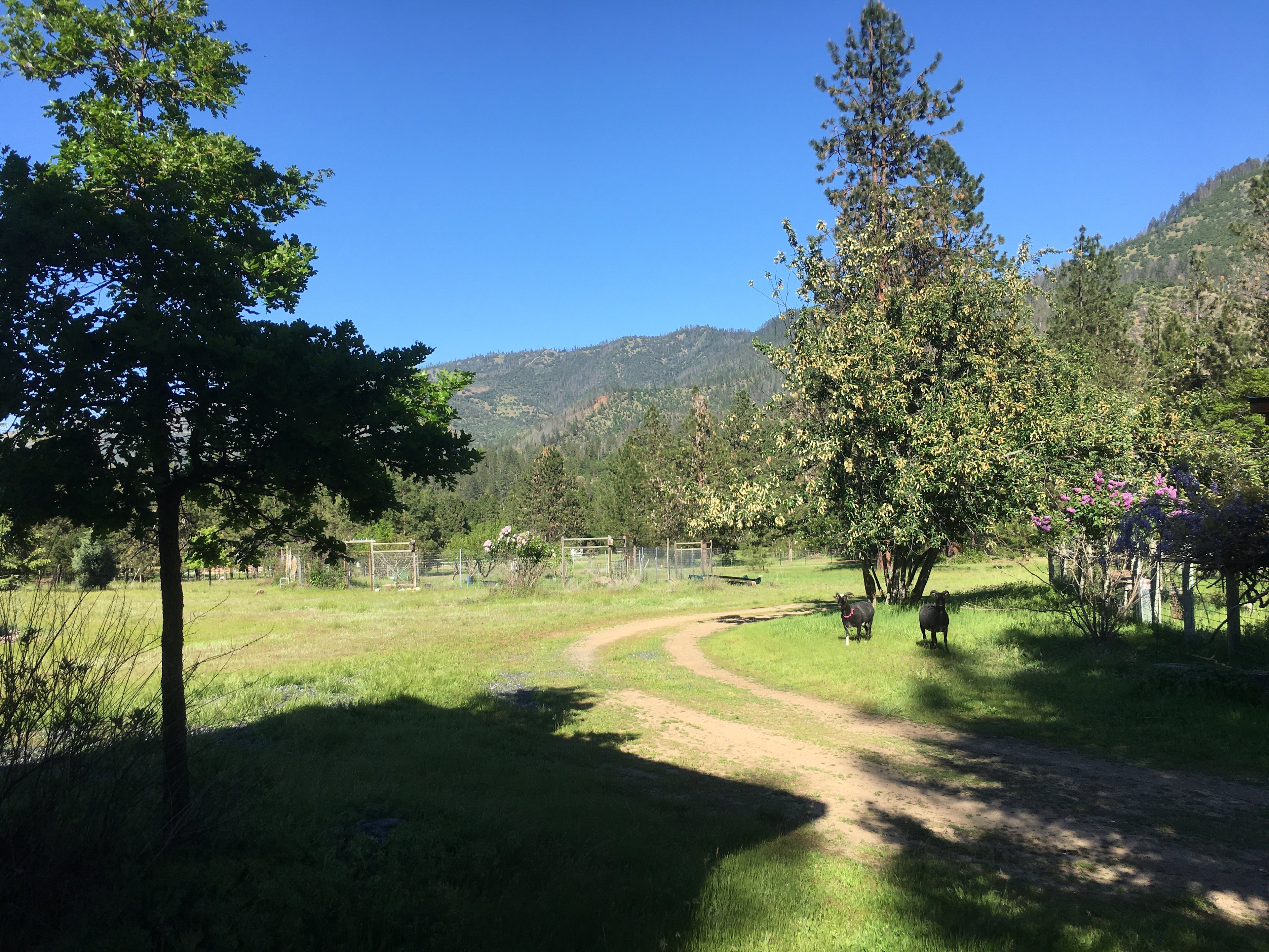 Applegate Hillside