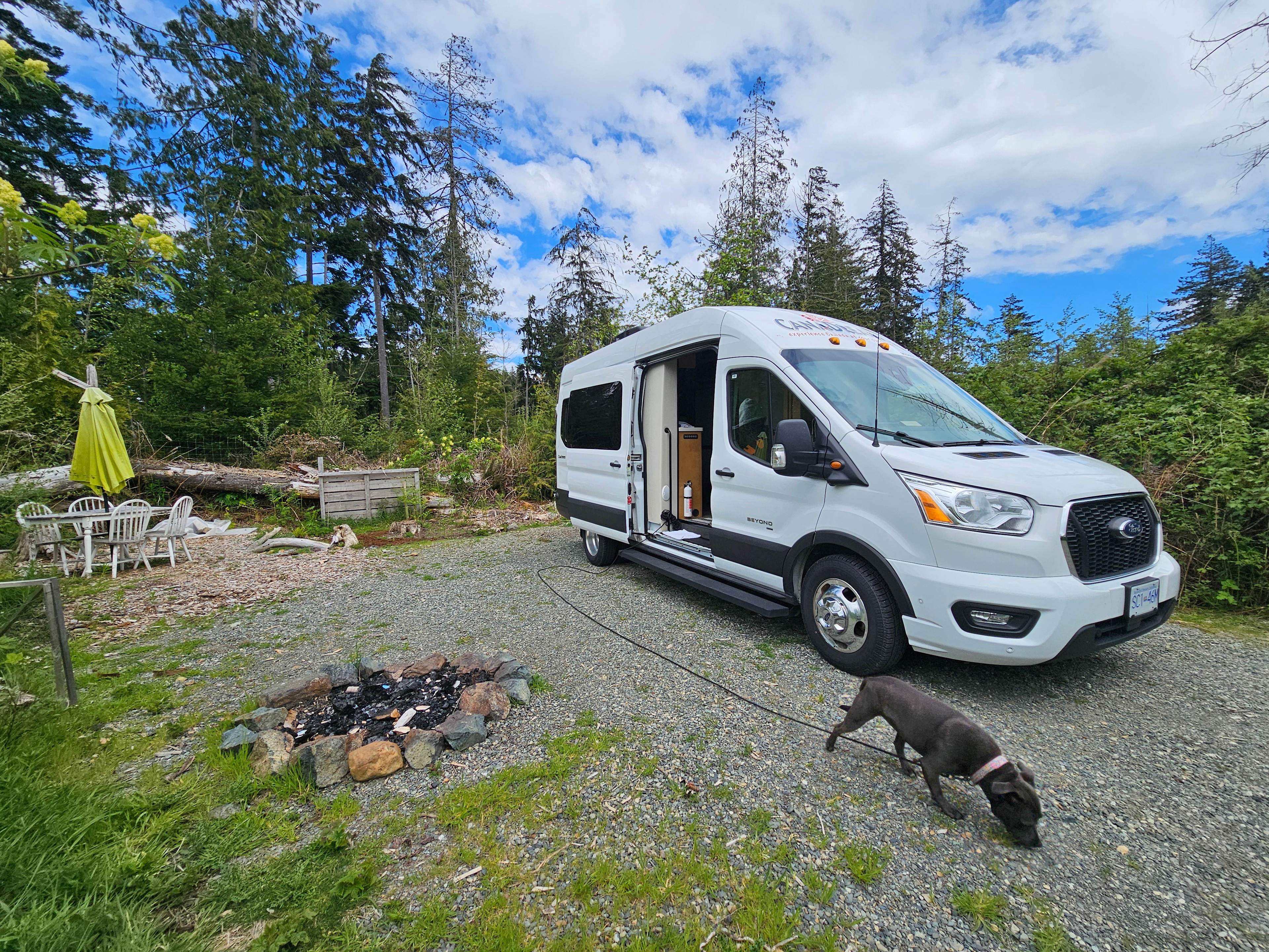 Elderberry Campsite (Site 1)