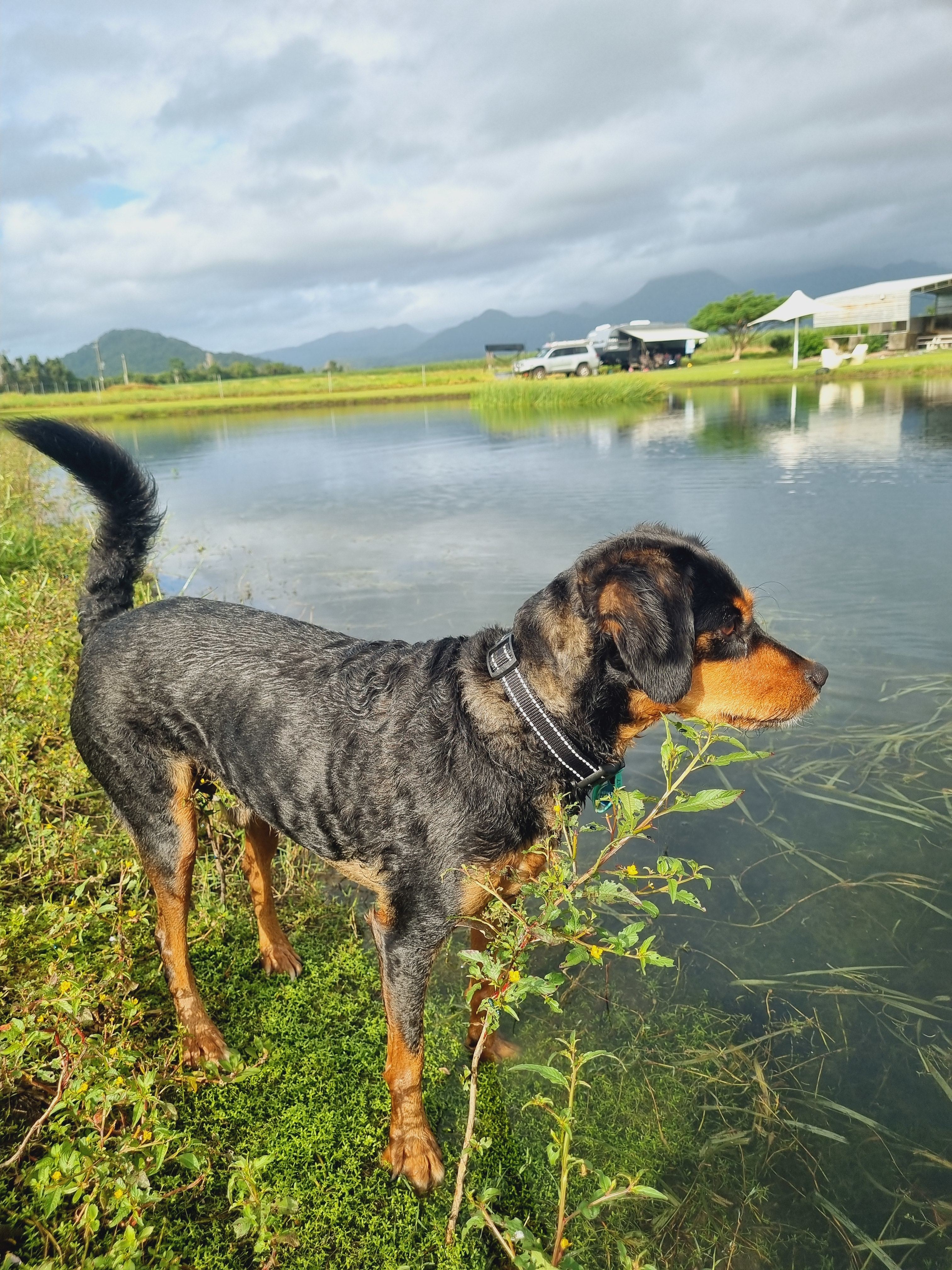 Newell Beach Farm Stay