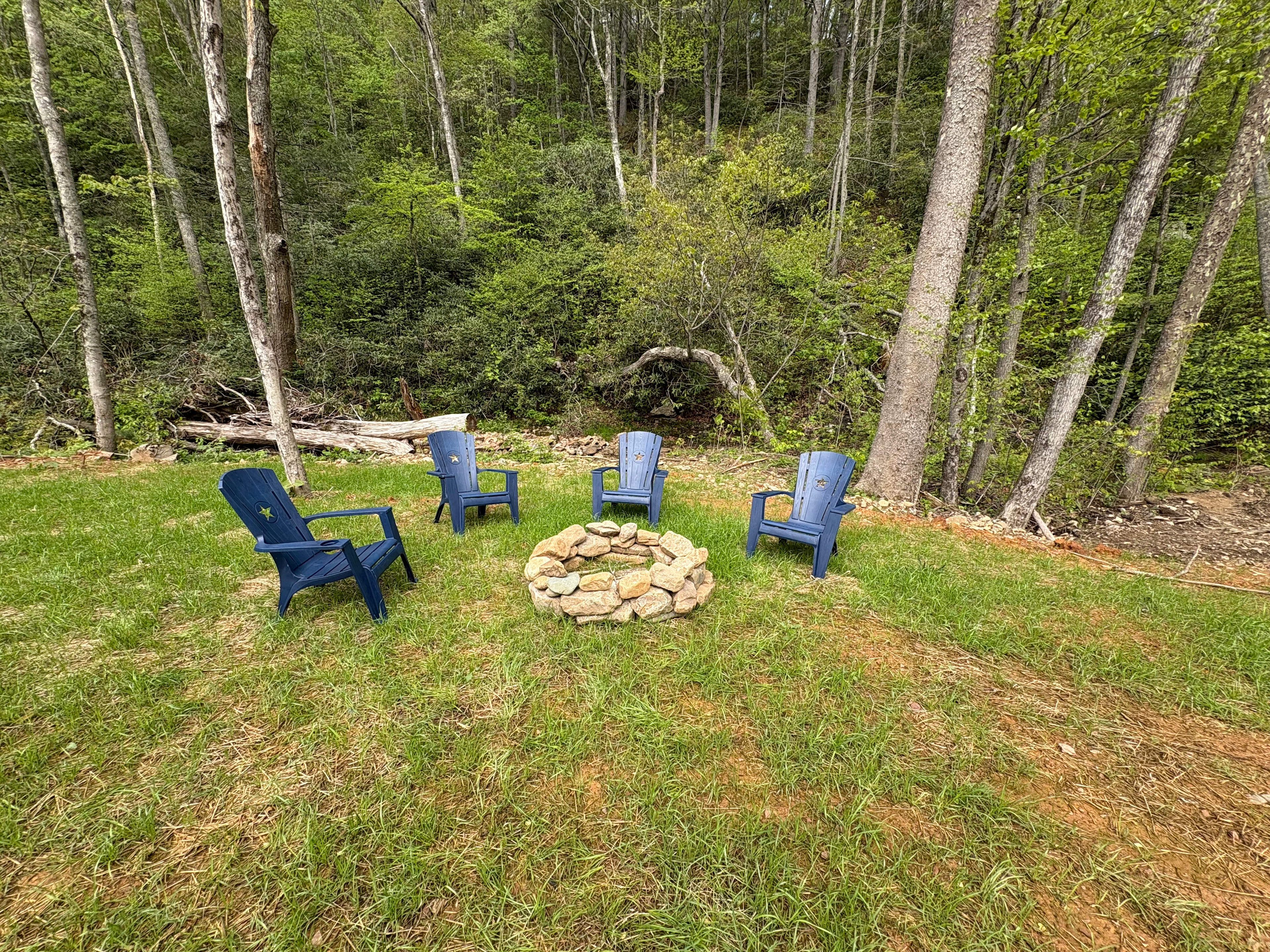 Camp Cressy Creek