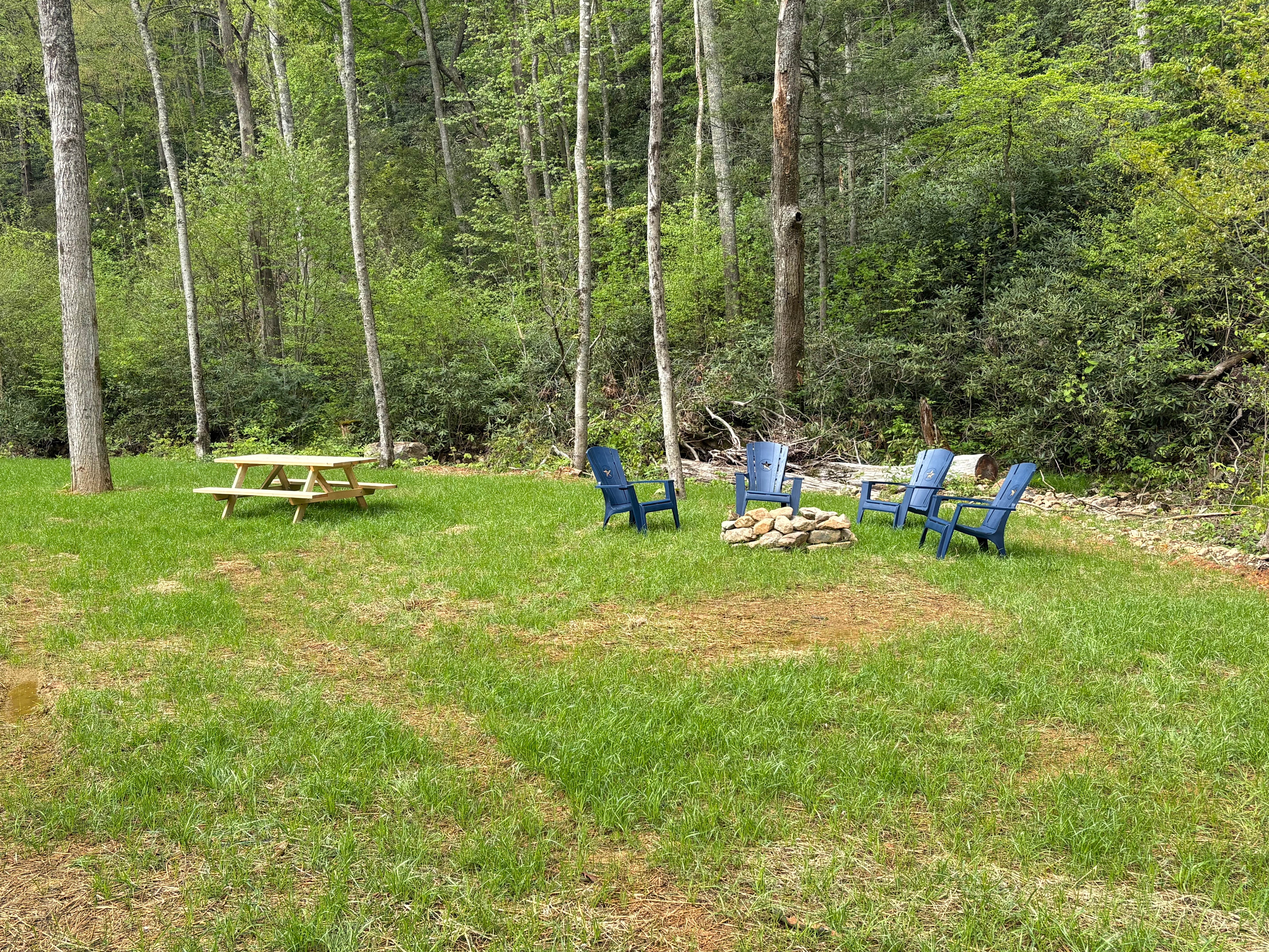 Camp Cressy Creek