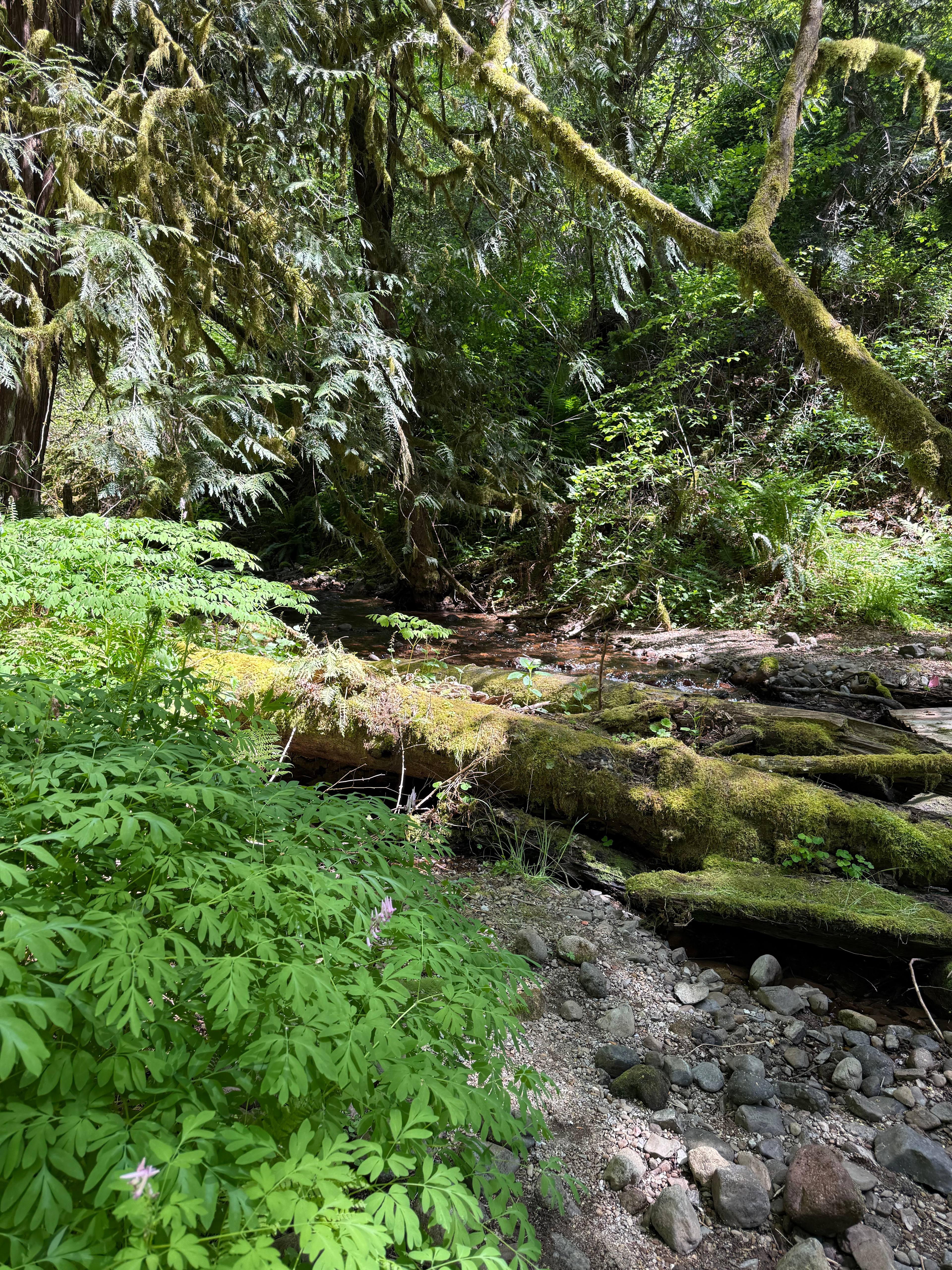 Lake Merwin Getaway