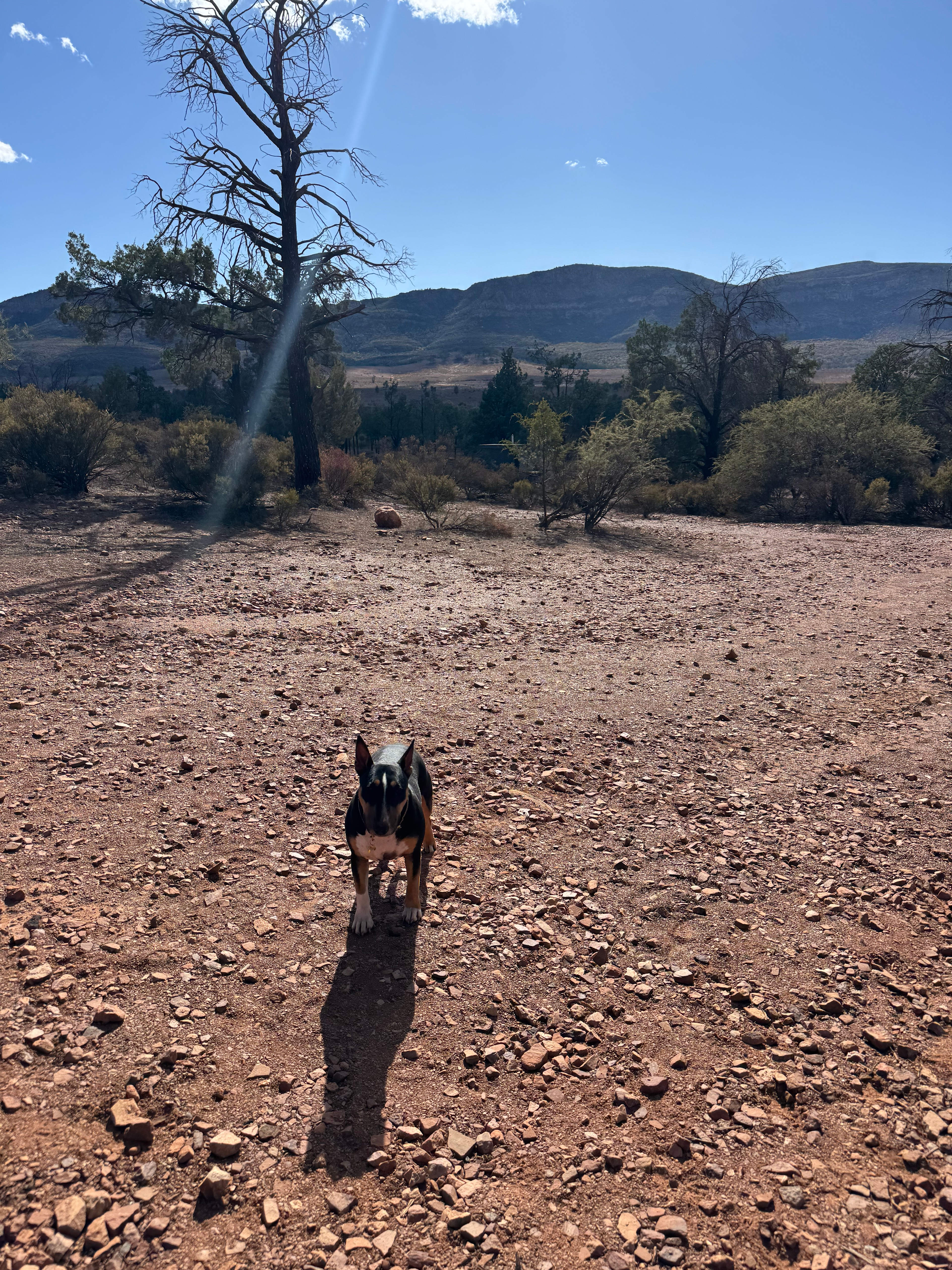 Rawnsley Park Station