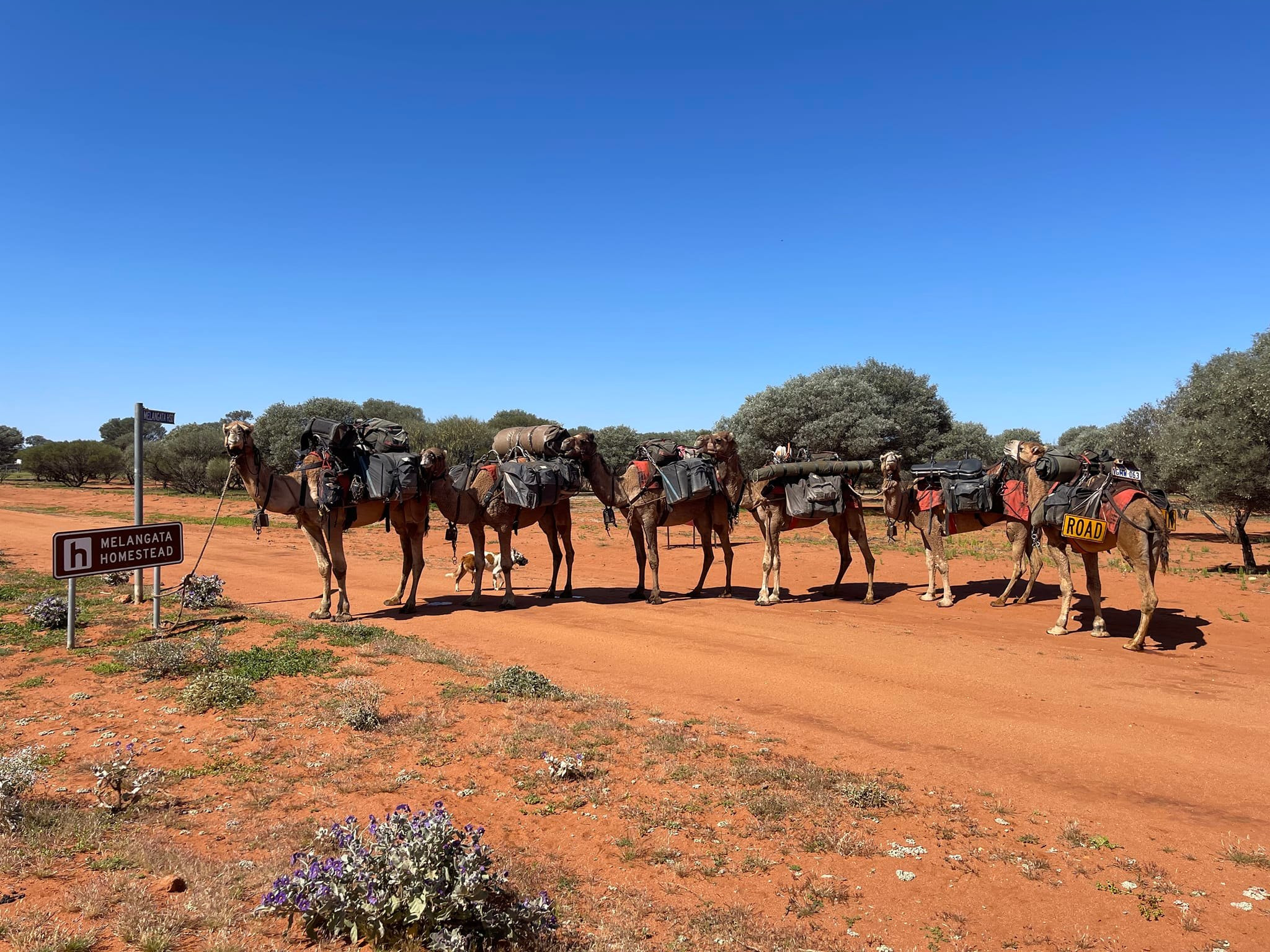 Melangata Station Stay