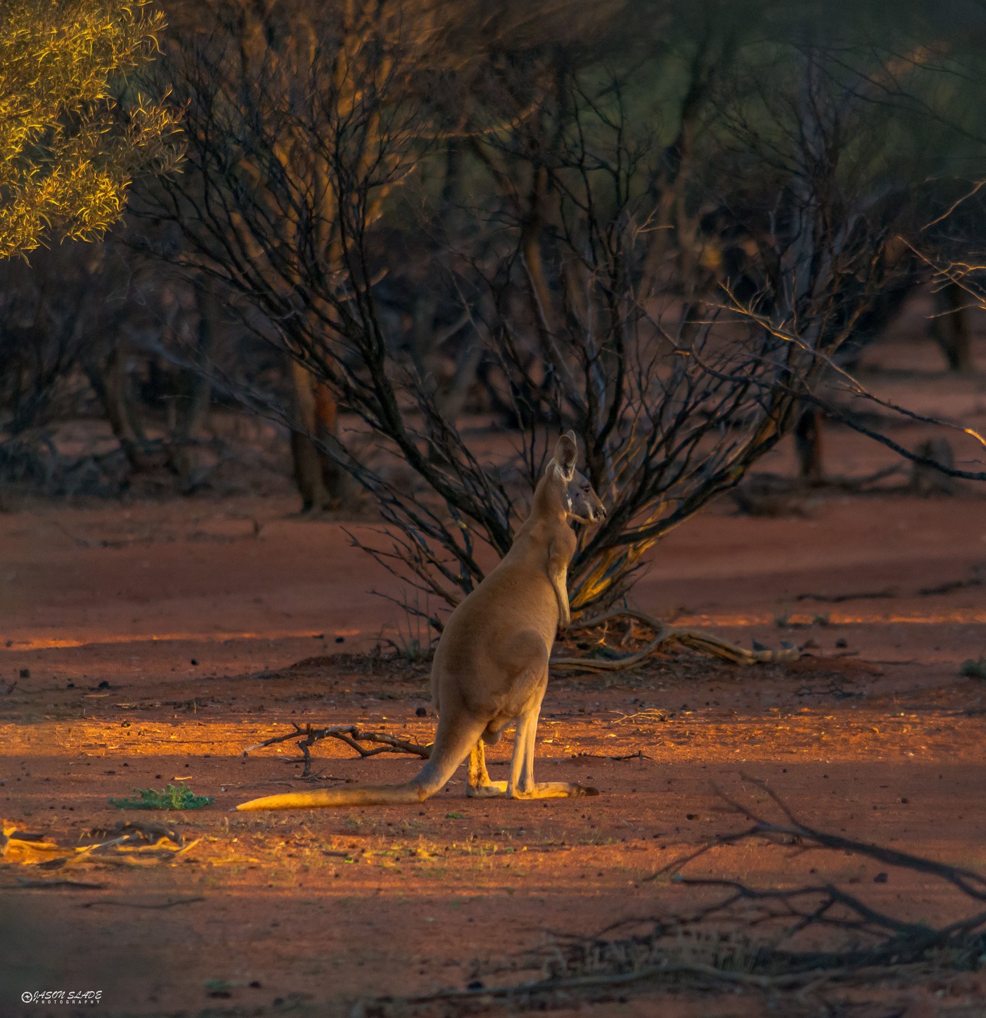 Melangata Station Stay