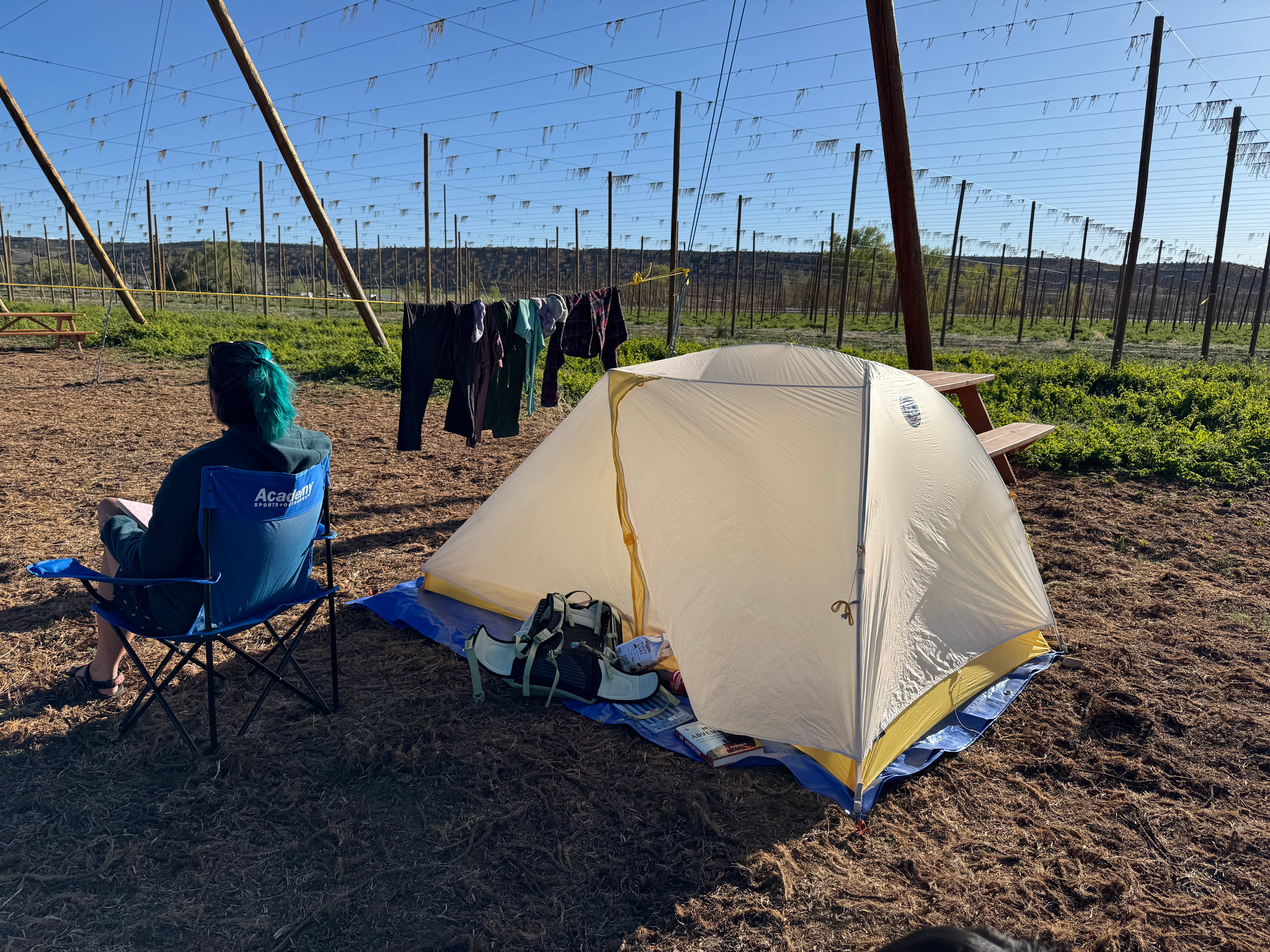 Right next to the hop yard, you get a true feeling of agriculture!